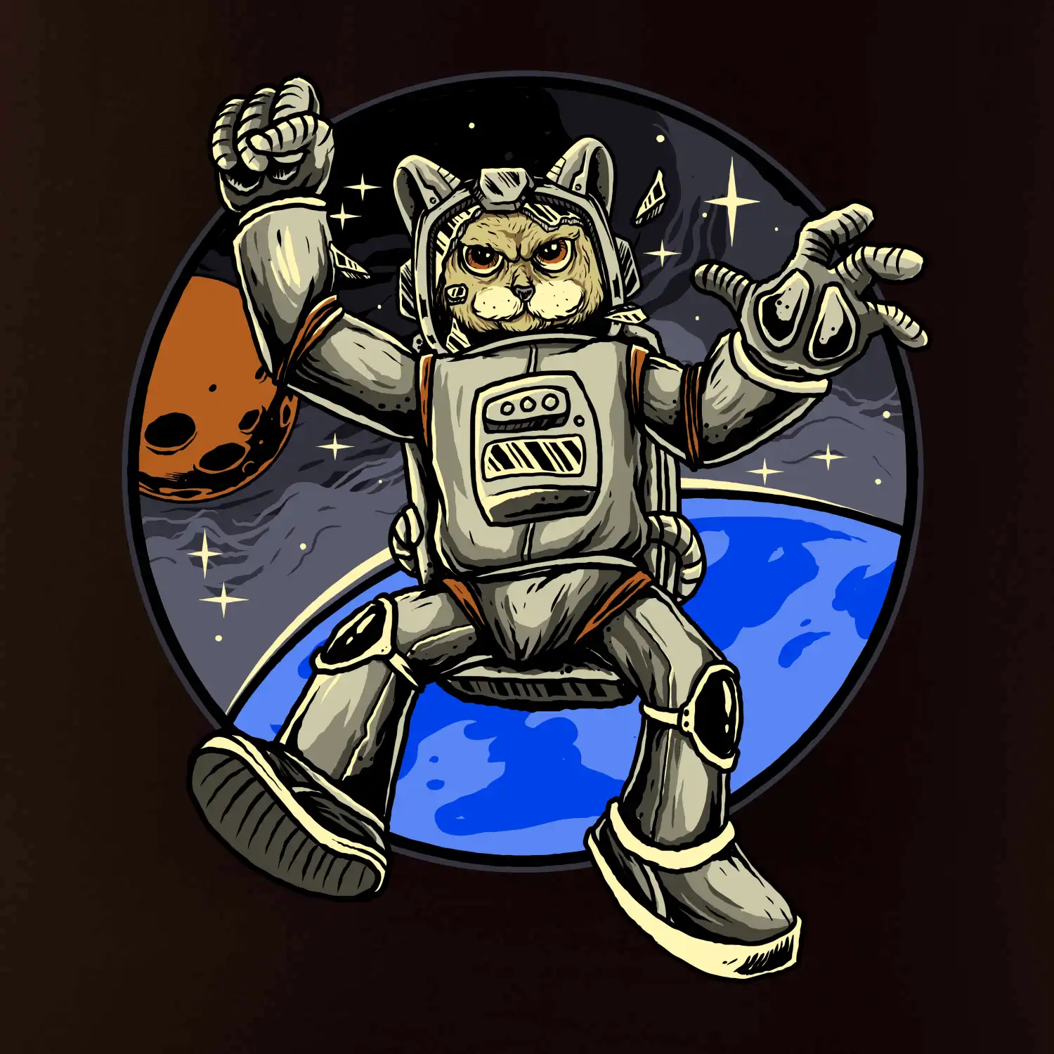 Kočičí astronaut