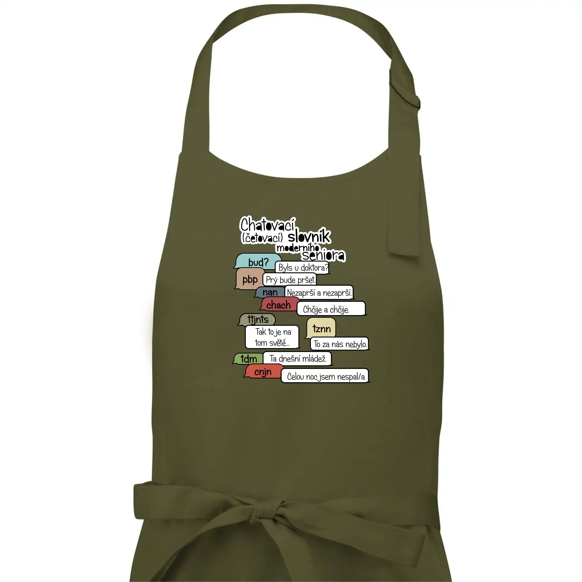 Chatovací slovník moderního seniora (Běžící češtinář)