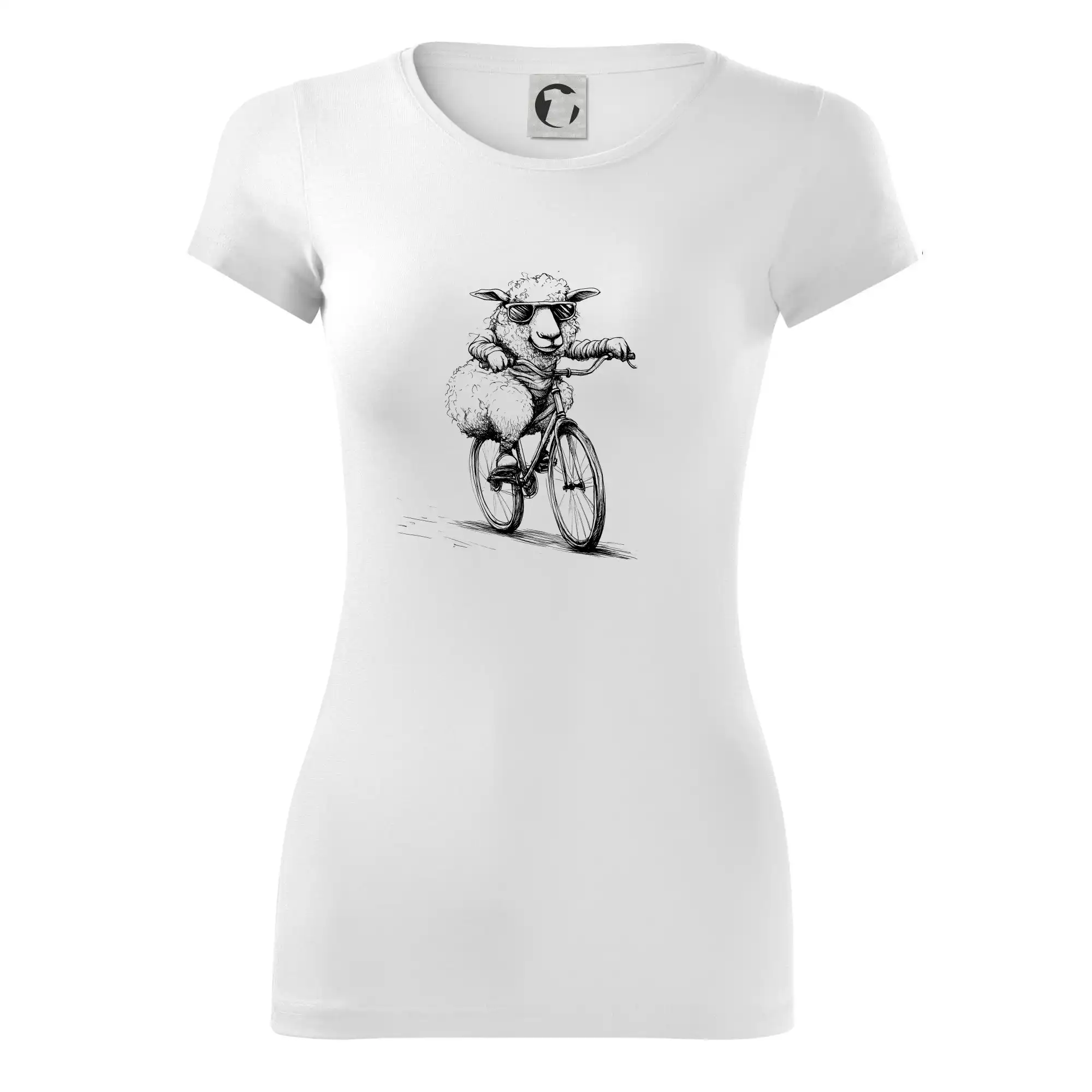 Ovce s brýlemi na kole