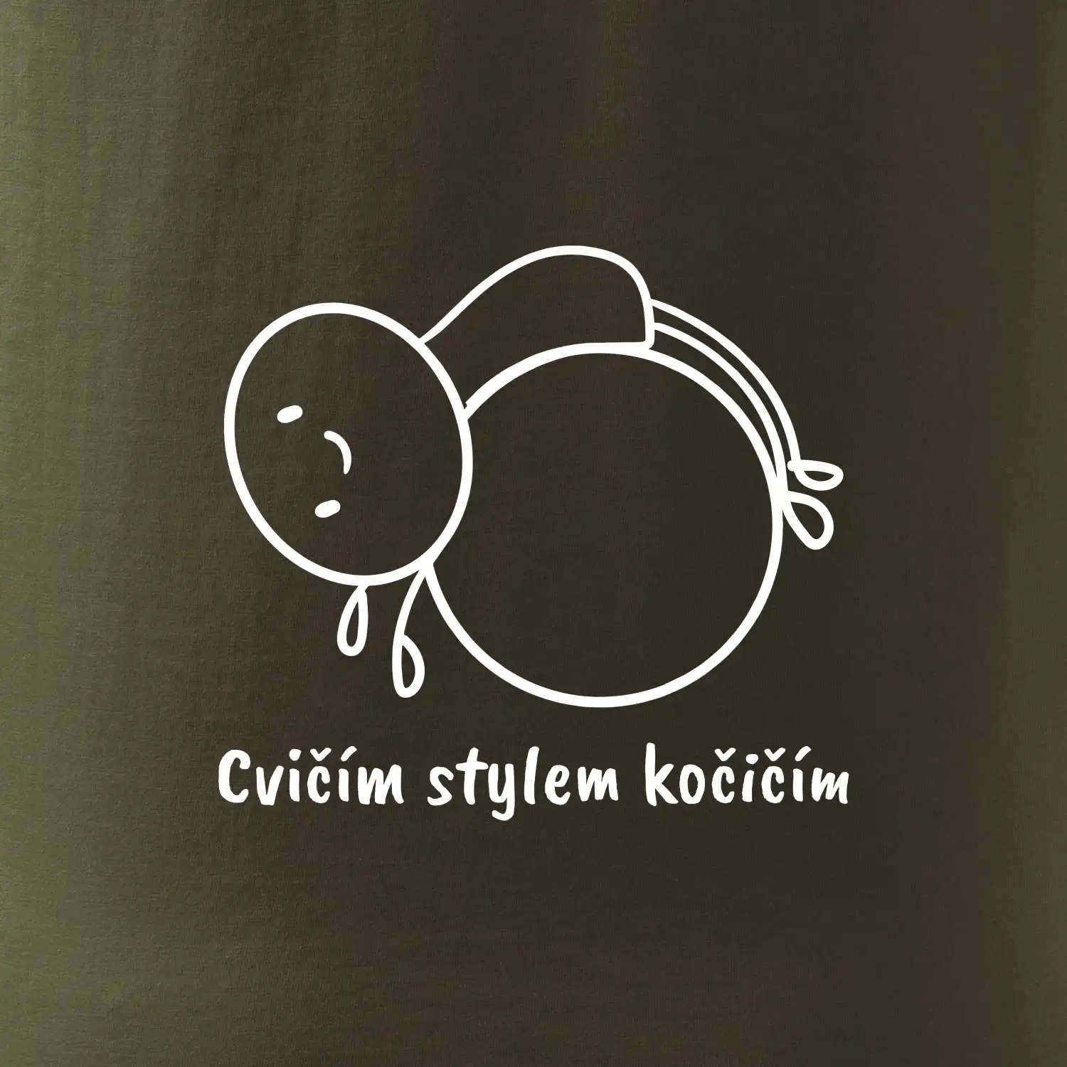 Cvičím stylem kočičím