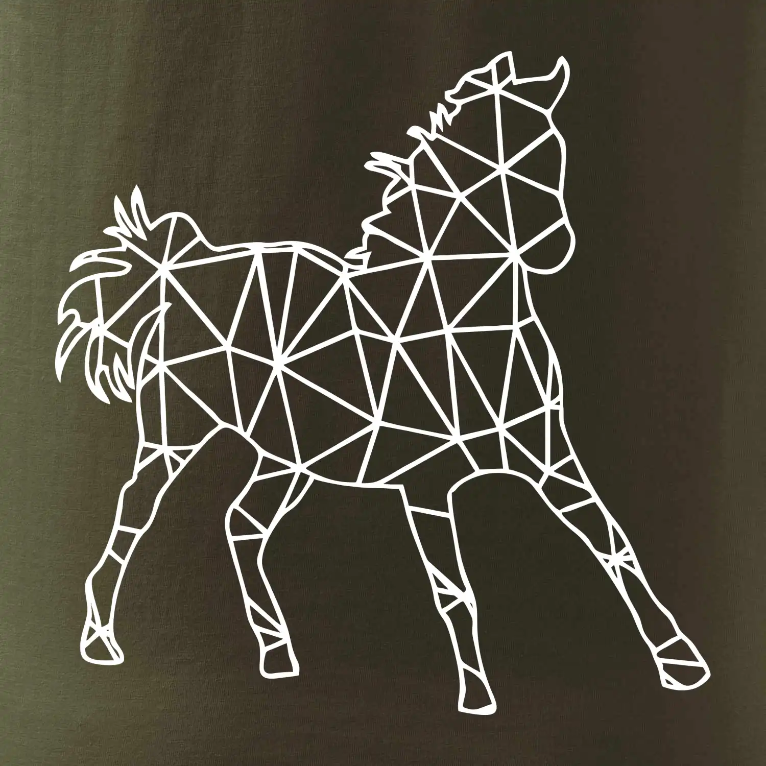 Geometrie - kůň