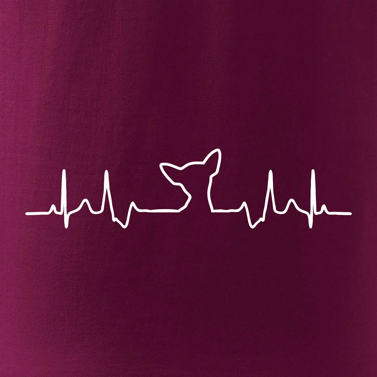 Čivava EKG