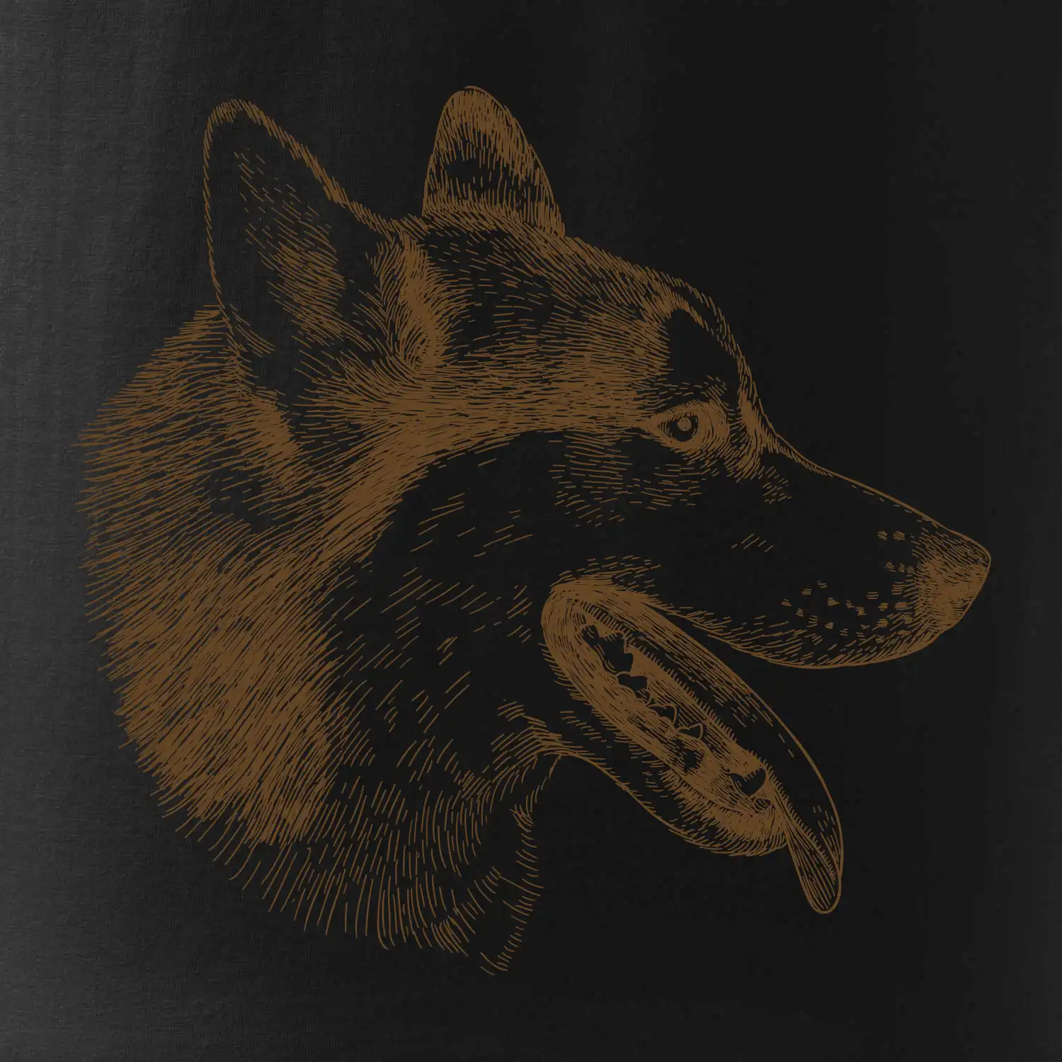 Husky - hlava z boku