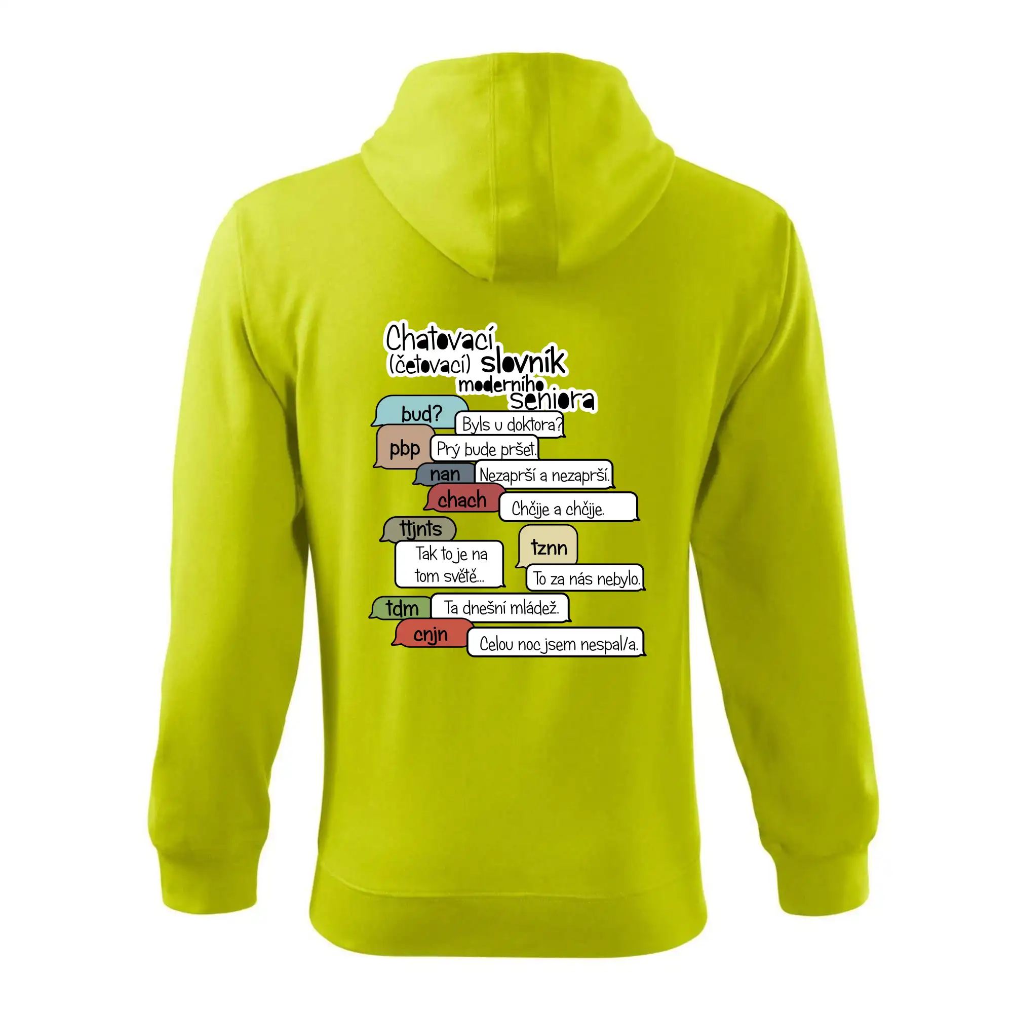 Chatovací slovník moderního seniora (Běžící češtinář)