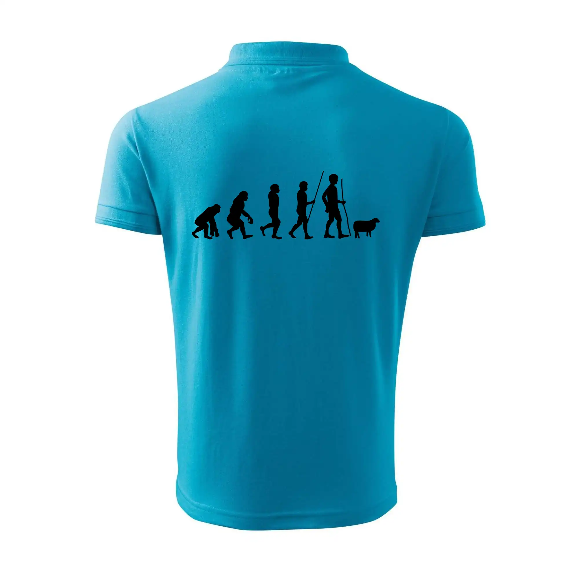 Evoluce pastevec ovcí