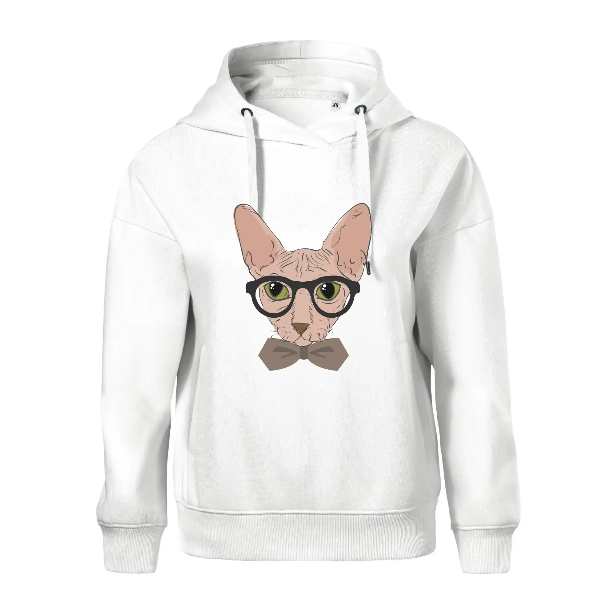 Hipster sphynx