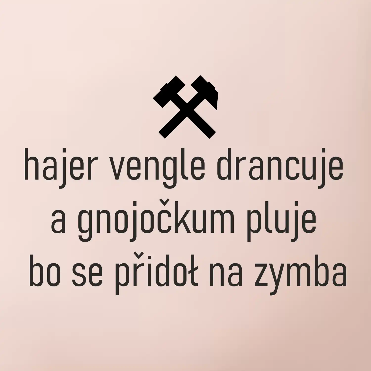 Hajer vengle drancuje a gnojočkum pluje bo se přidoł na zymba