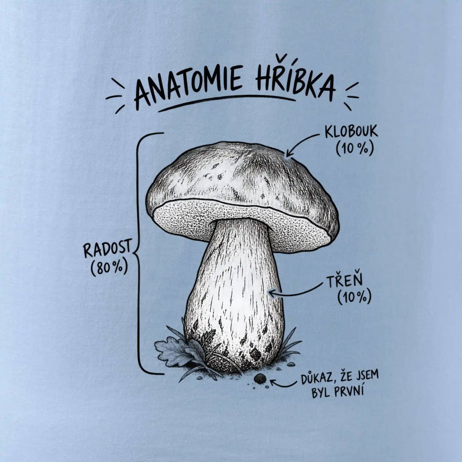 Anatomie hříbka