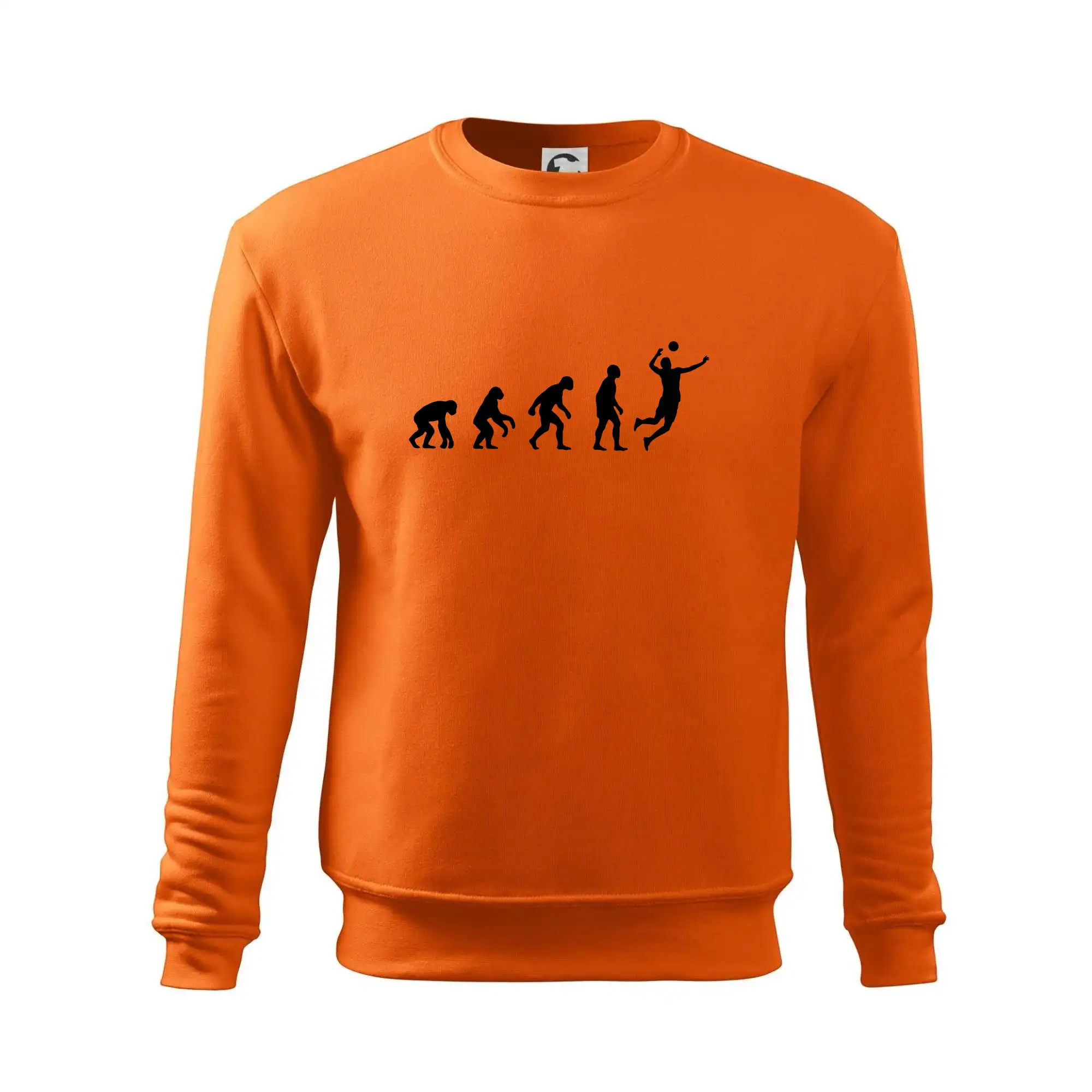 Evoluce volejbal muž