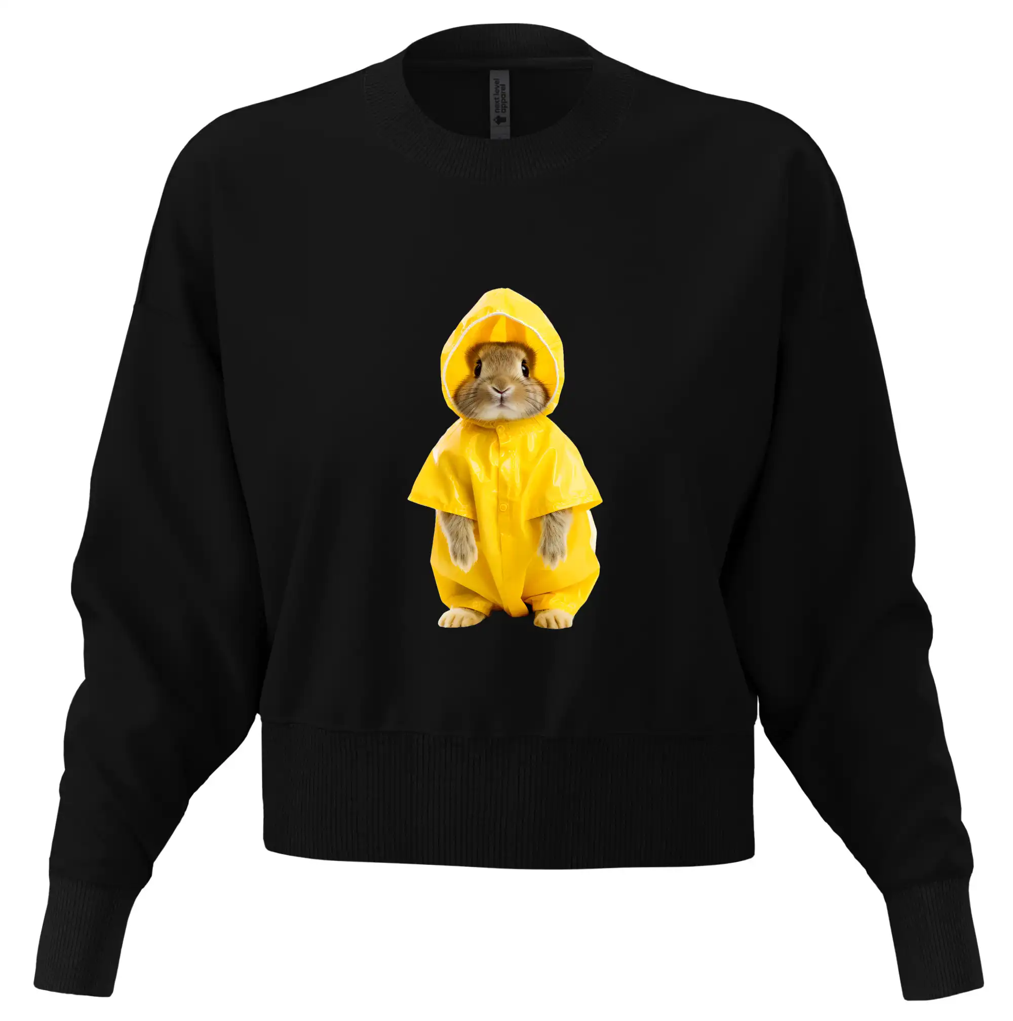 Králík v pláštěnce