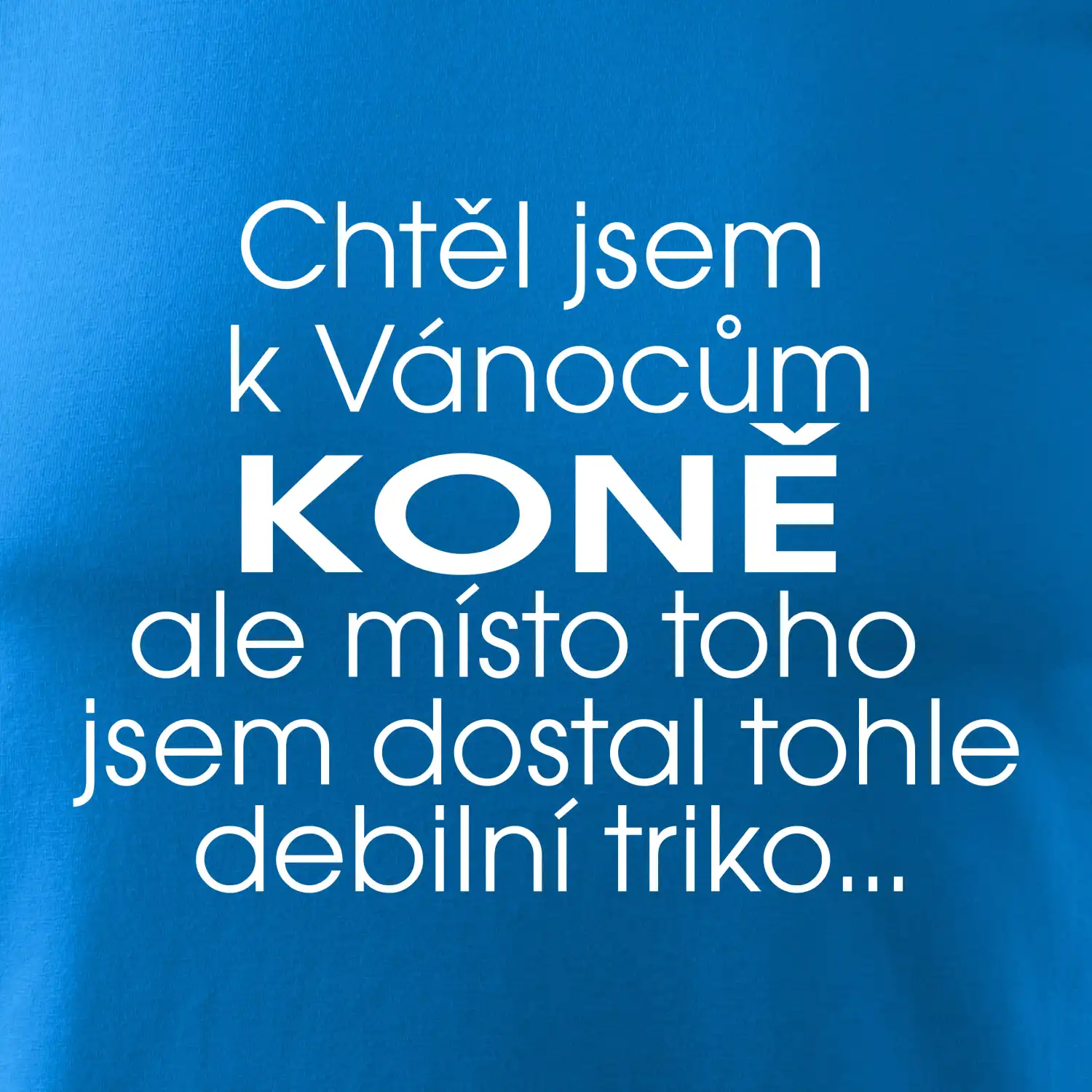 Chtěl jsem dostat k Vánocům koně