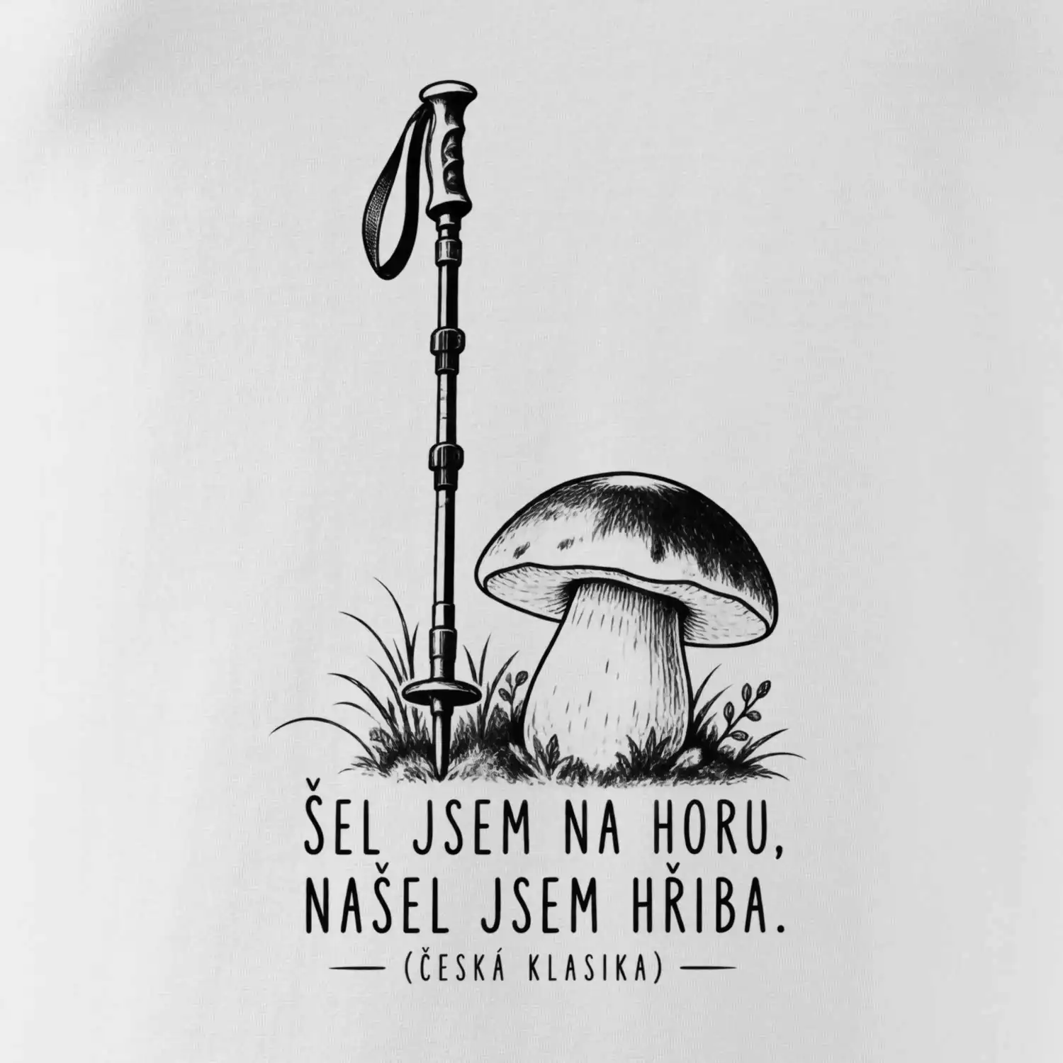 Šel jsem na horu našel jsem hřiba česká klasika
