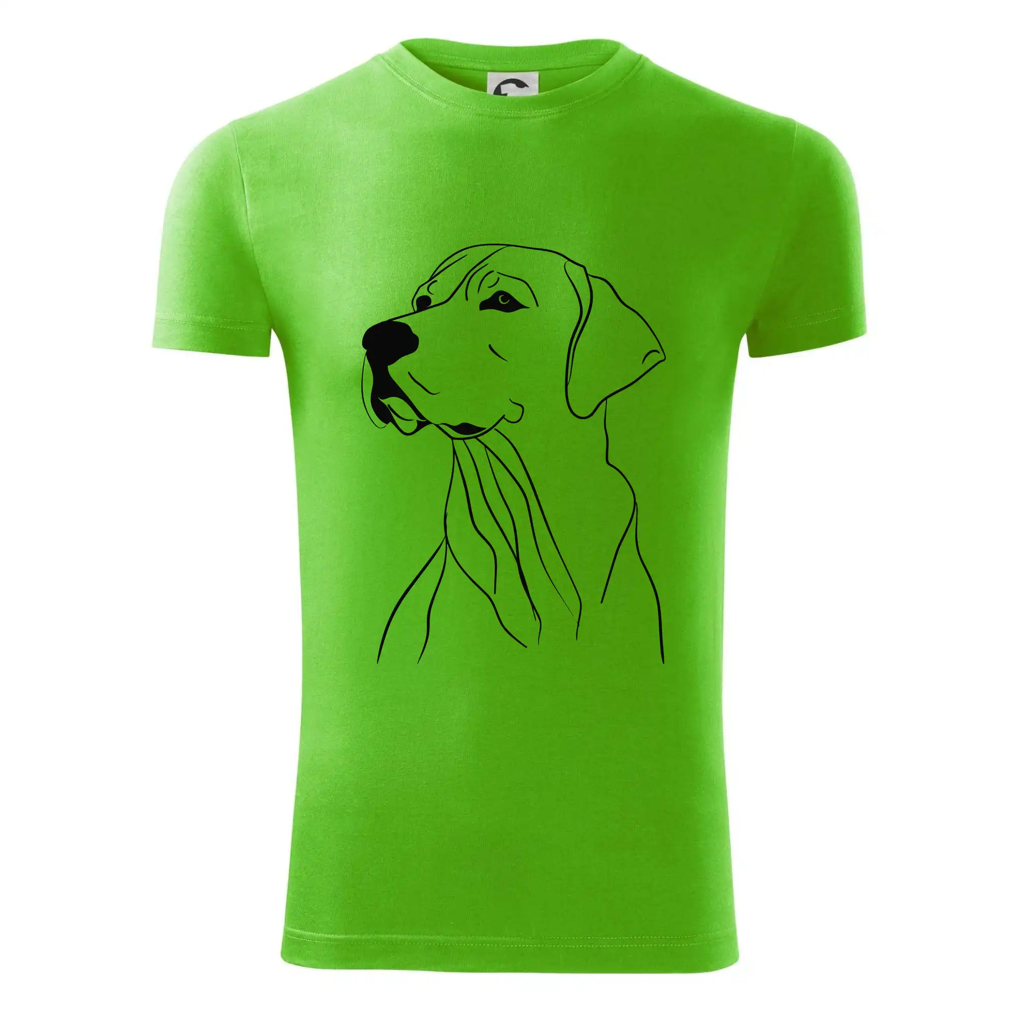 Labrador černá kresba