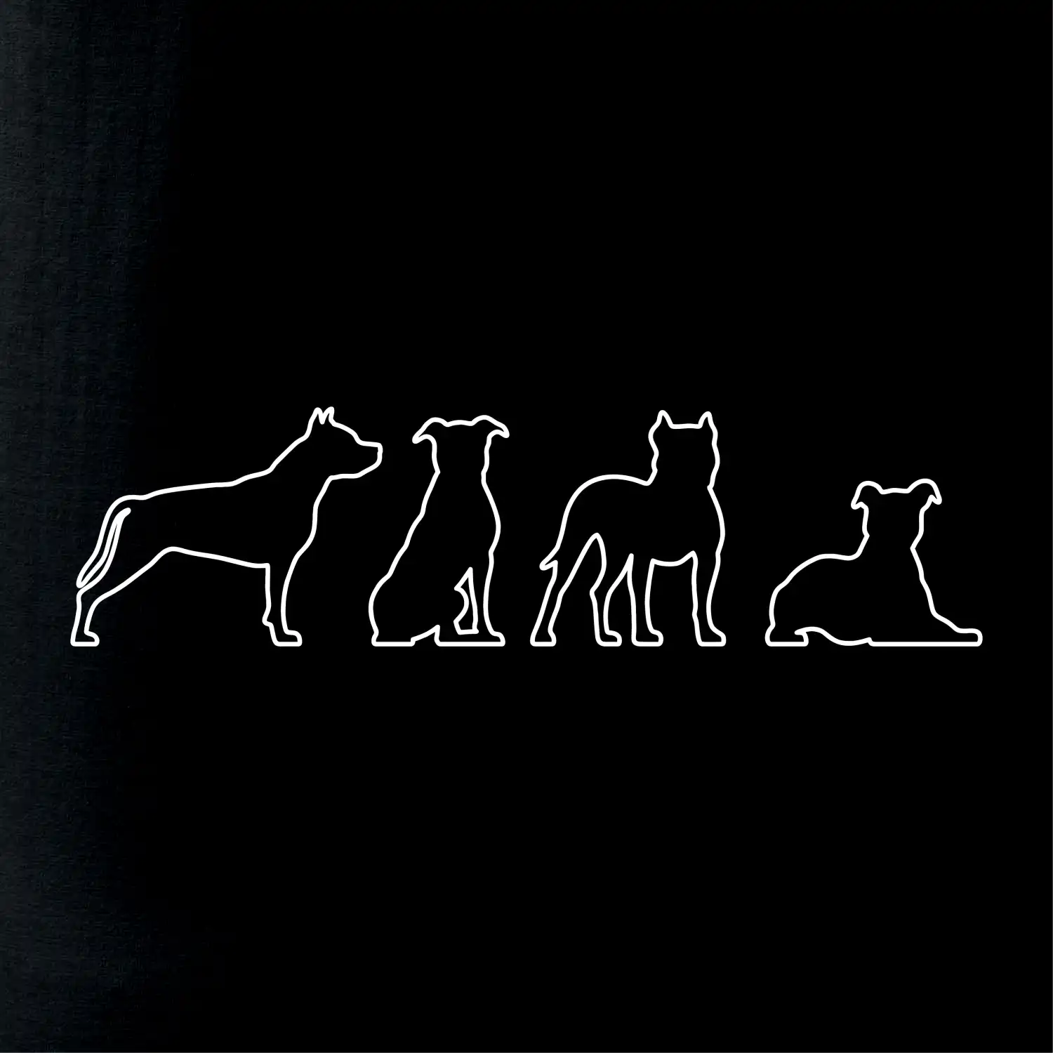 Americký stafordširský teriér v různých pozicích