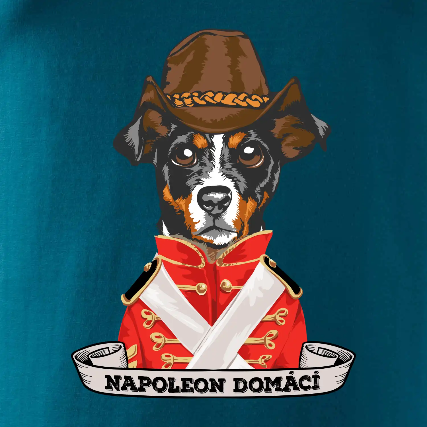Napoleon domácí pes kříženec
