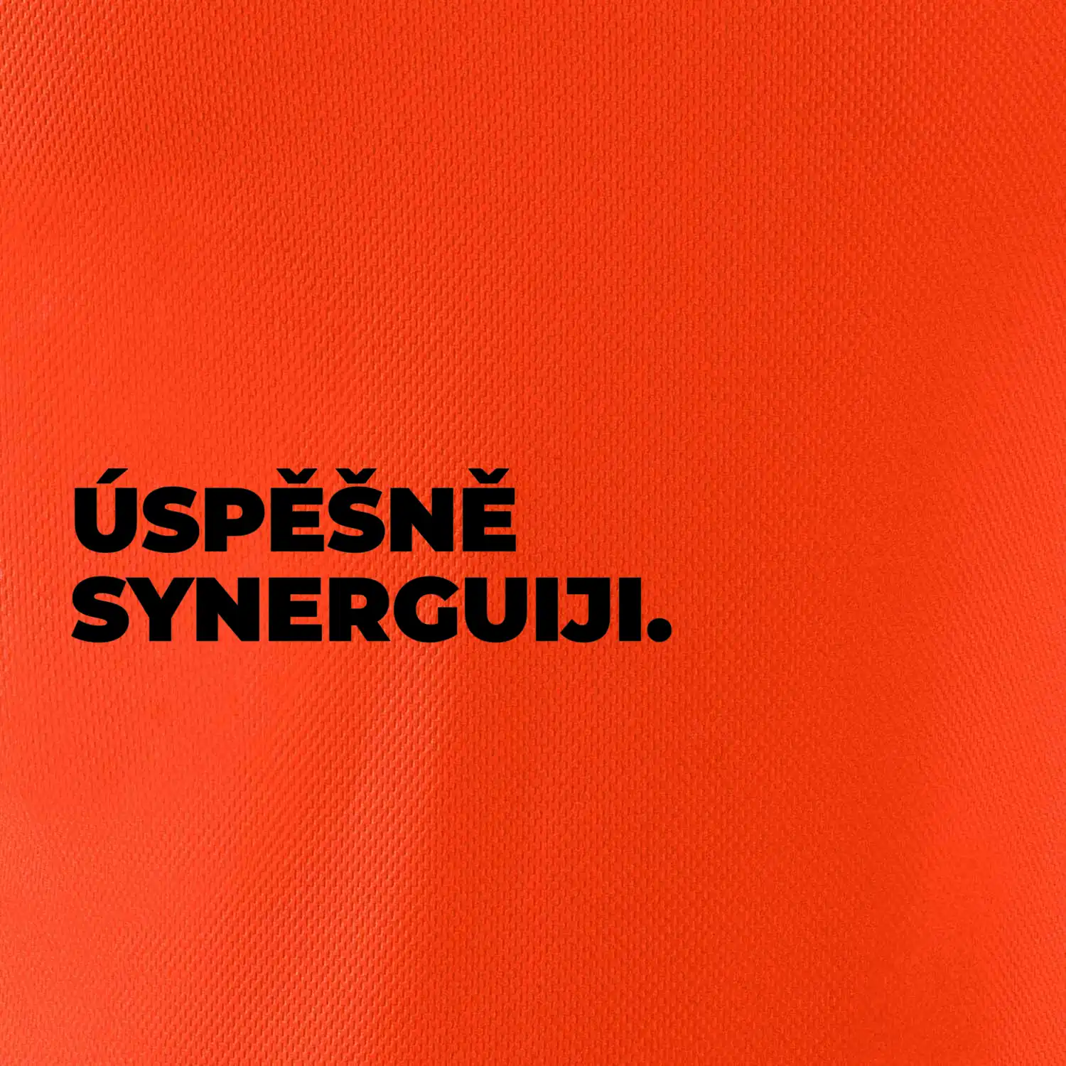 ÚSPĚŠNĚ SYNERGUIJI.
