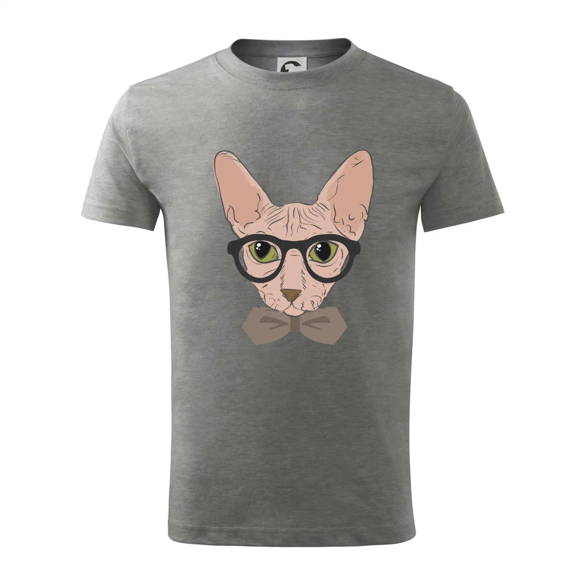 Hipster sphynx