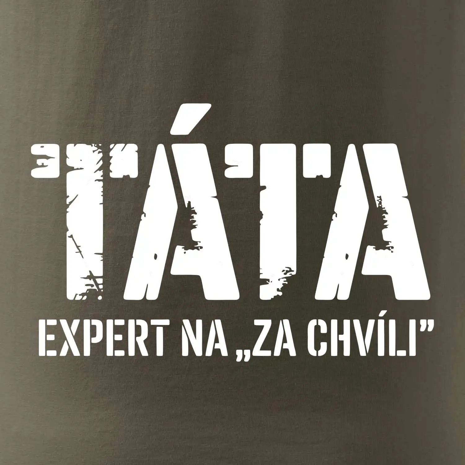 Táta - expert na za chvíli