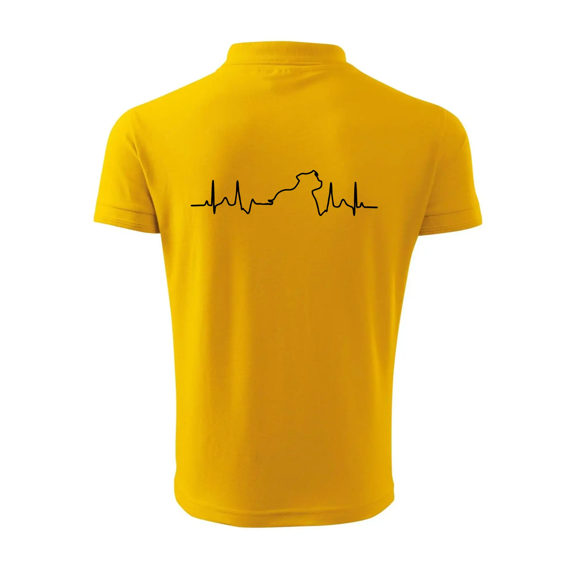 Stafordšírsky bulteriér EKG