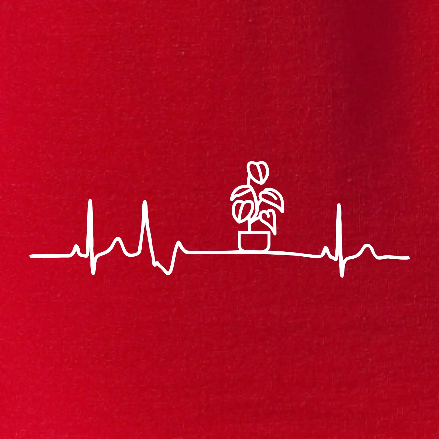 EKG Filodendron