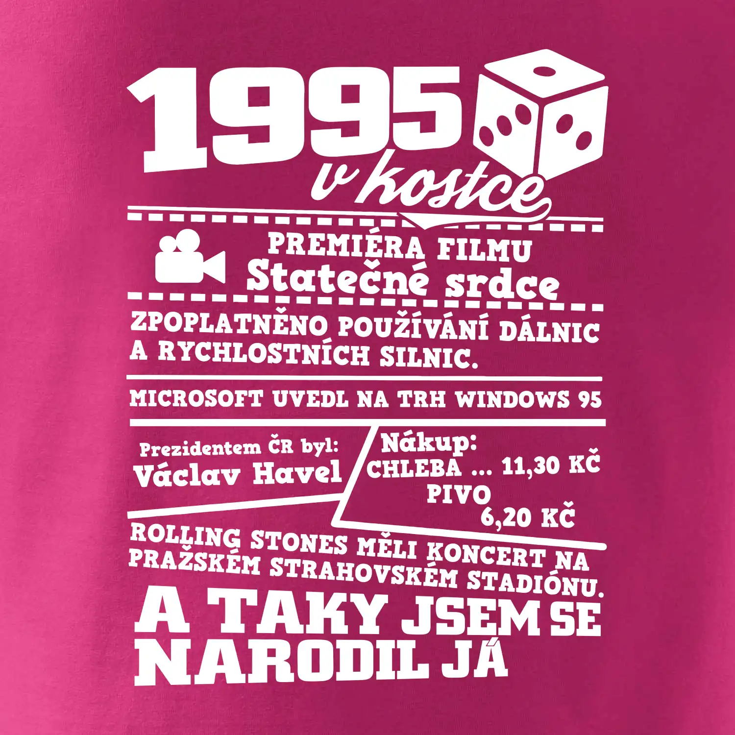 1995 v kostce