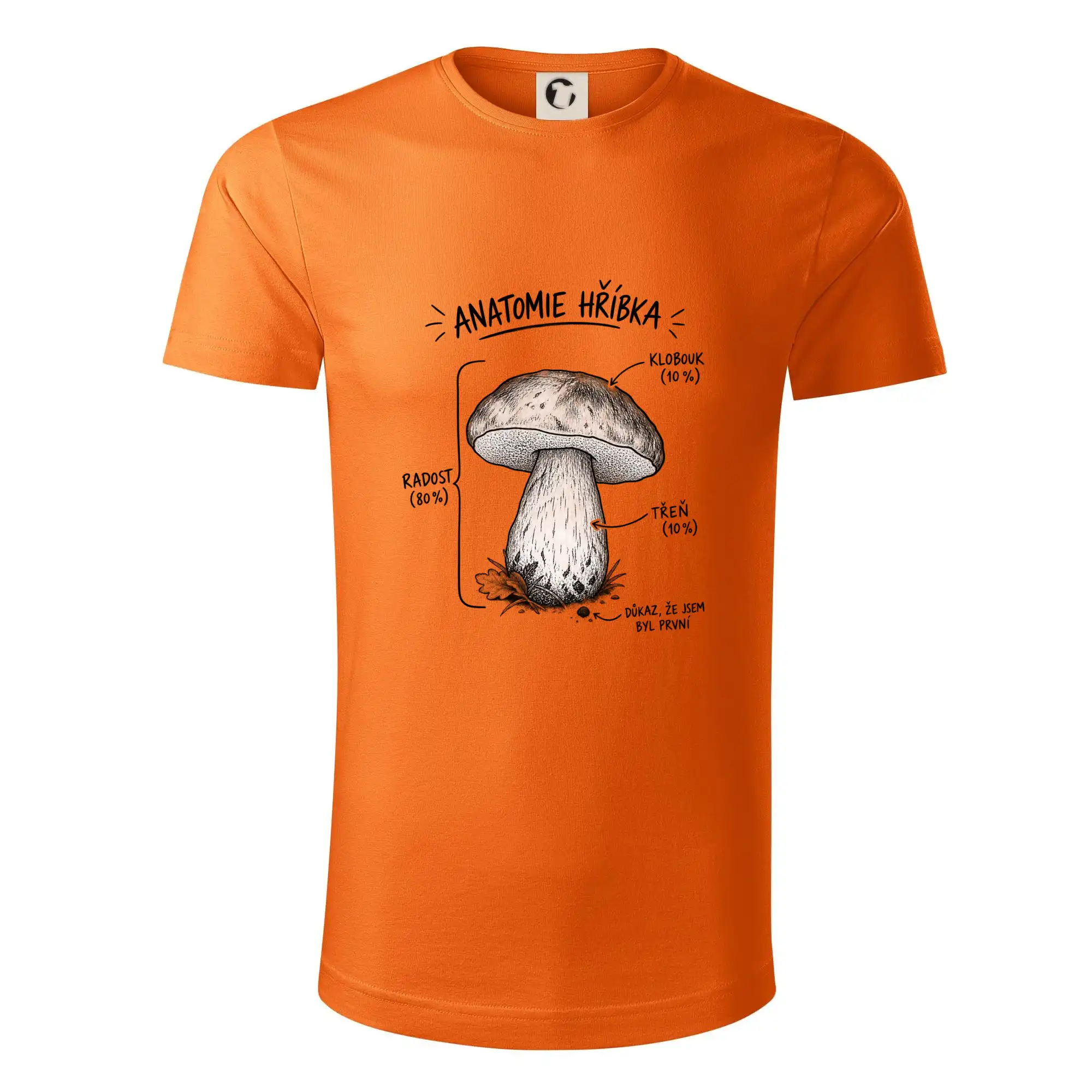 Anatomie hříbka