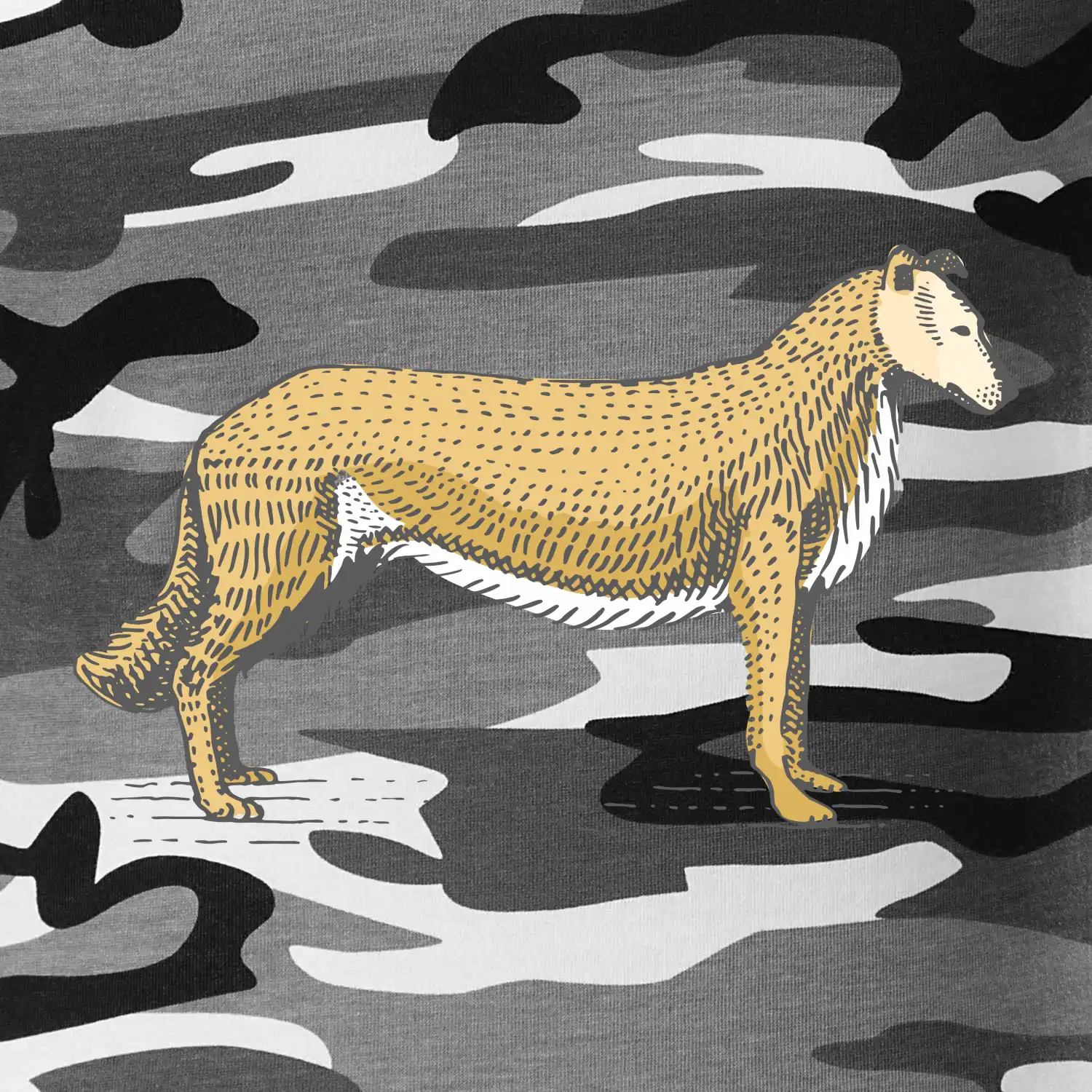 Vintage Collie