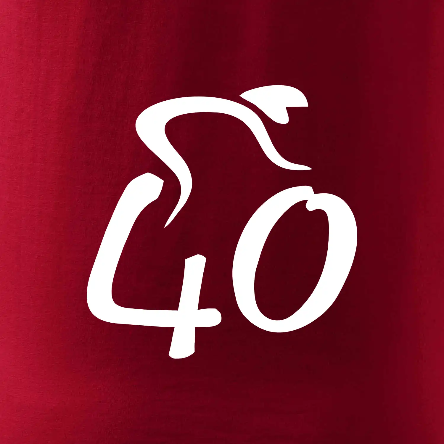 Cyklista slaví čtyřicítku (40)