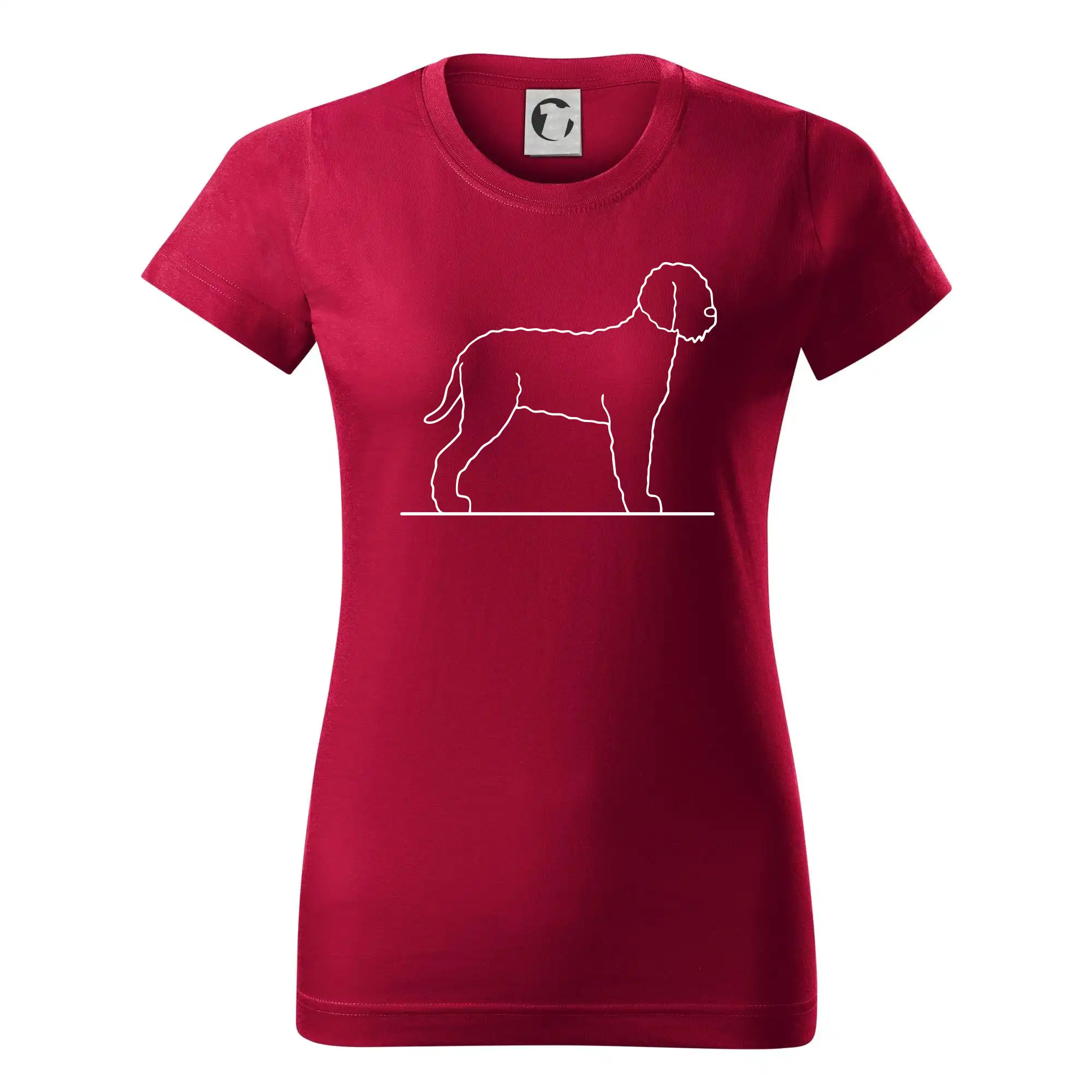 Lagotto romagnolo stojící