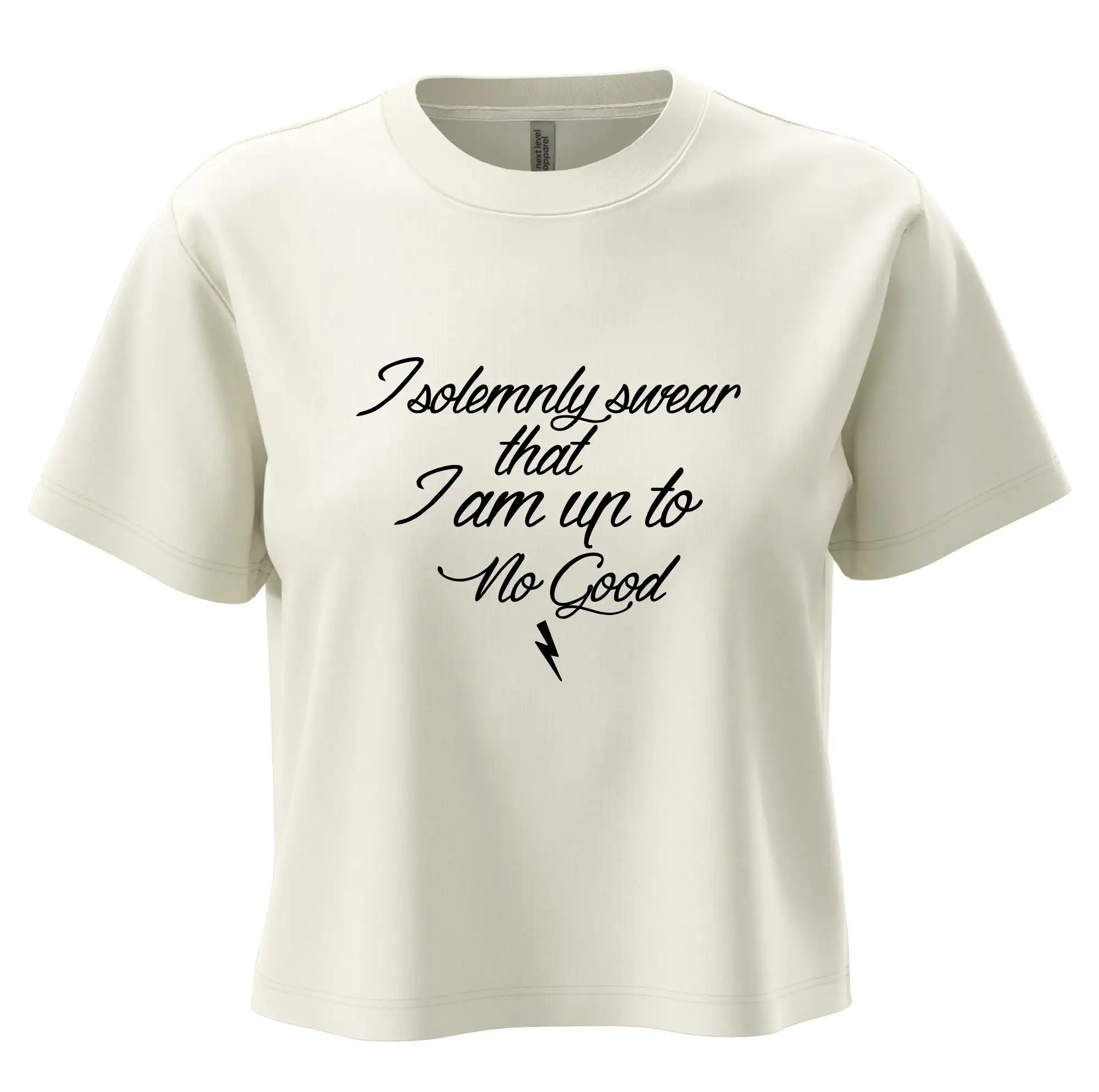I solemnly swear that I'm up to no good