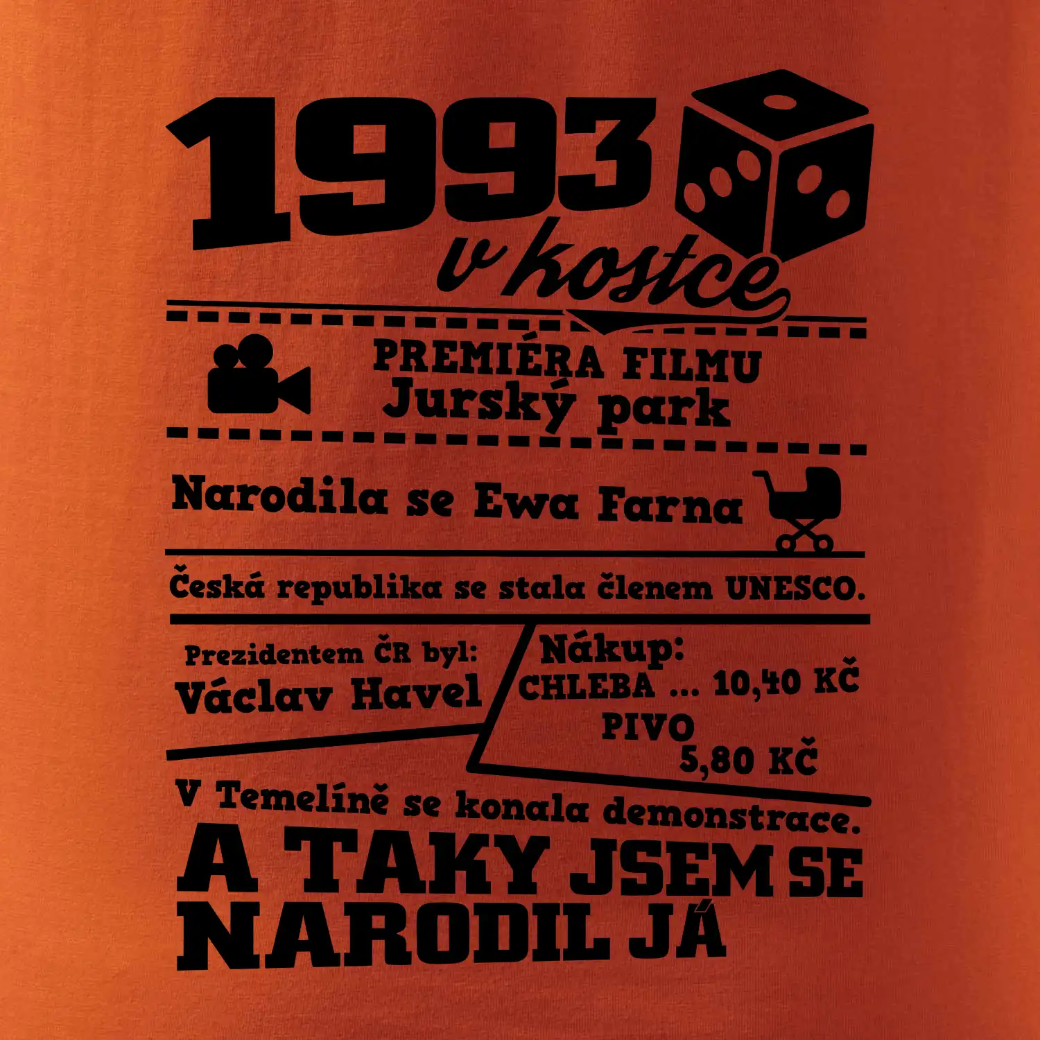 1993 v kostce