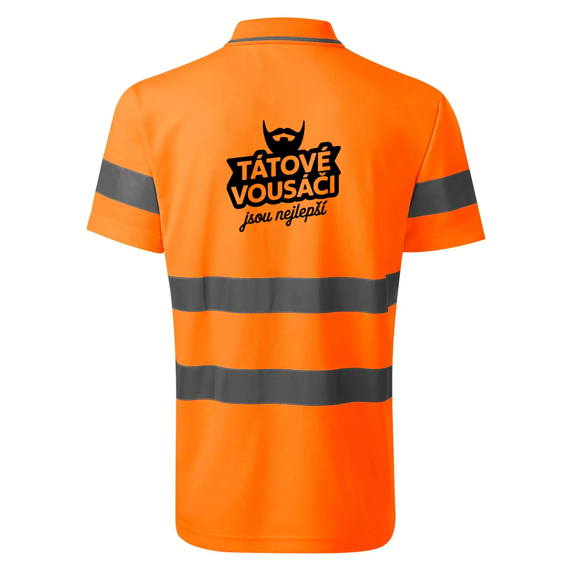 Tátové vousáči jsou nejlepší