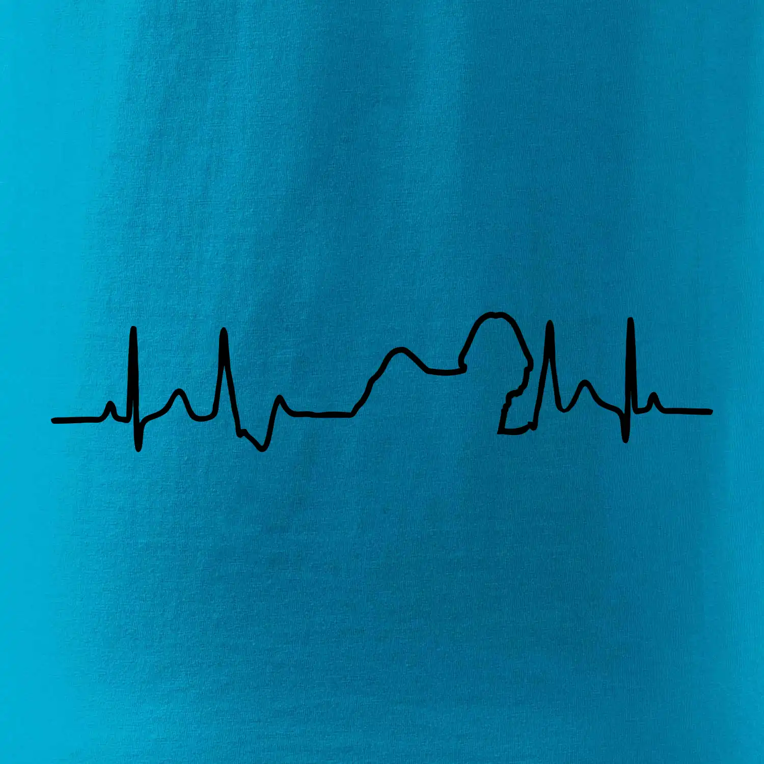 Shih-tzu ekg obrys