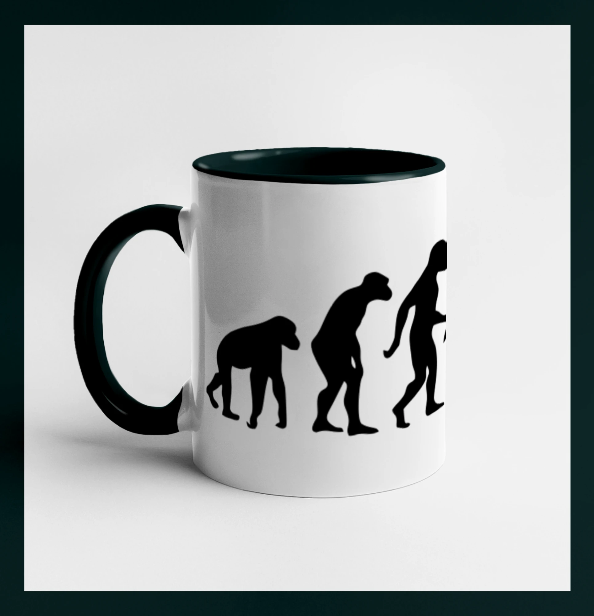 Evolution fitness