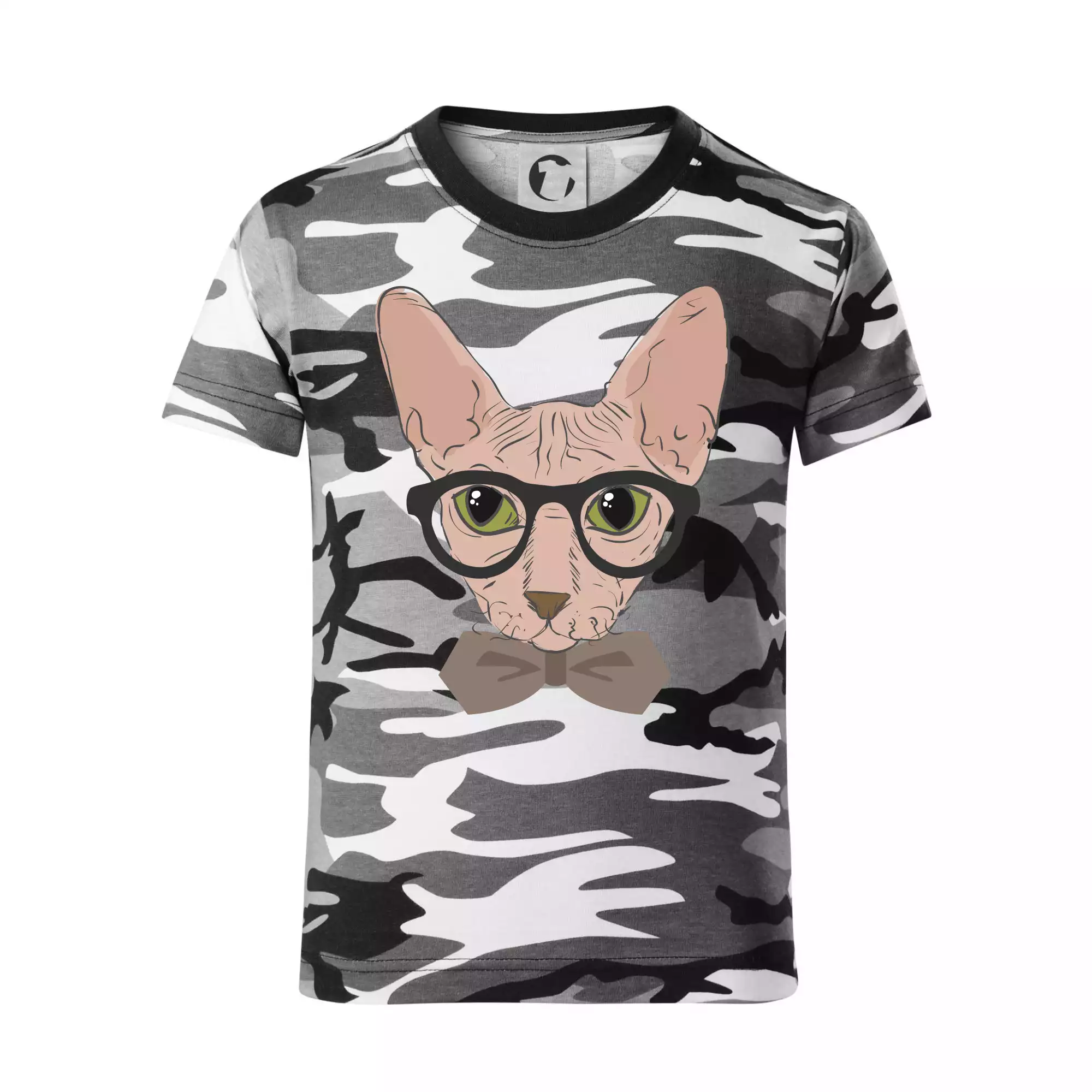 Hipster sphynx