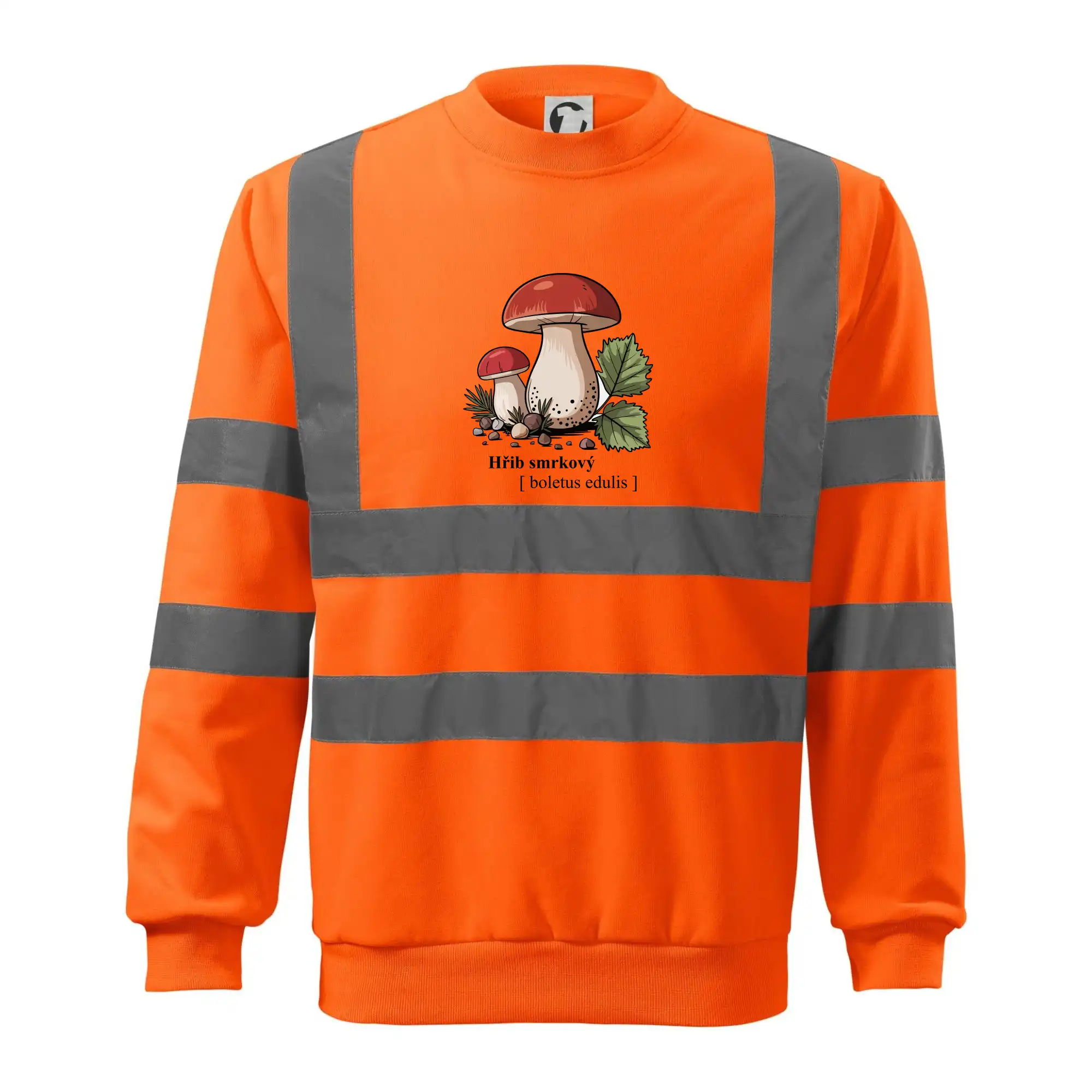 Hřib smrkový - Boletus edulis kreslený