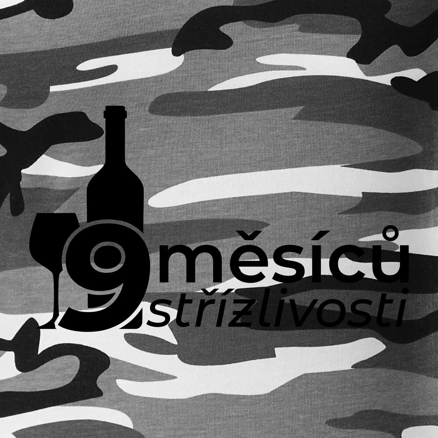 9 měsíců střízlivosti