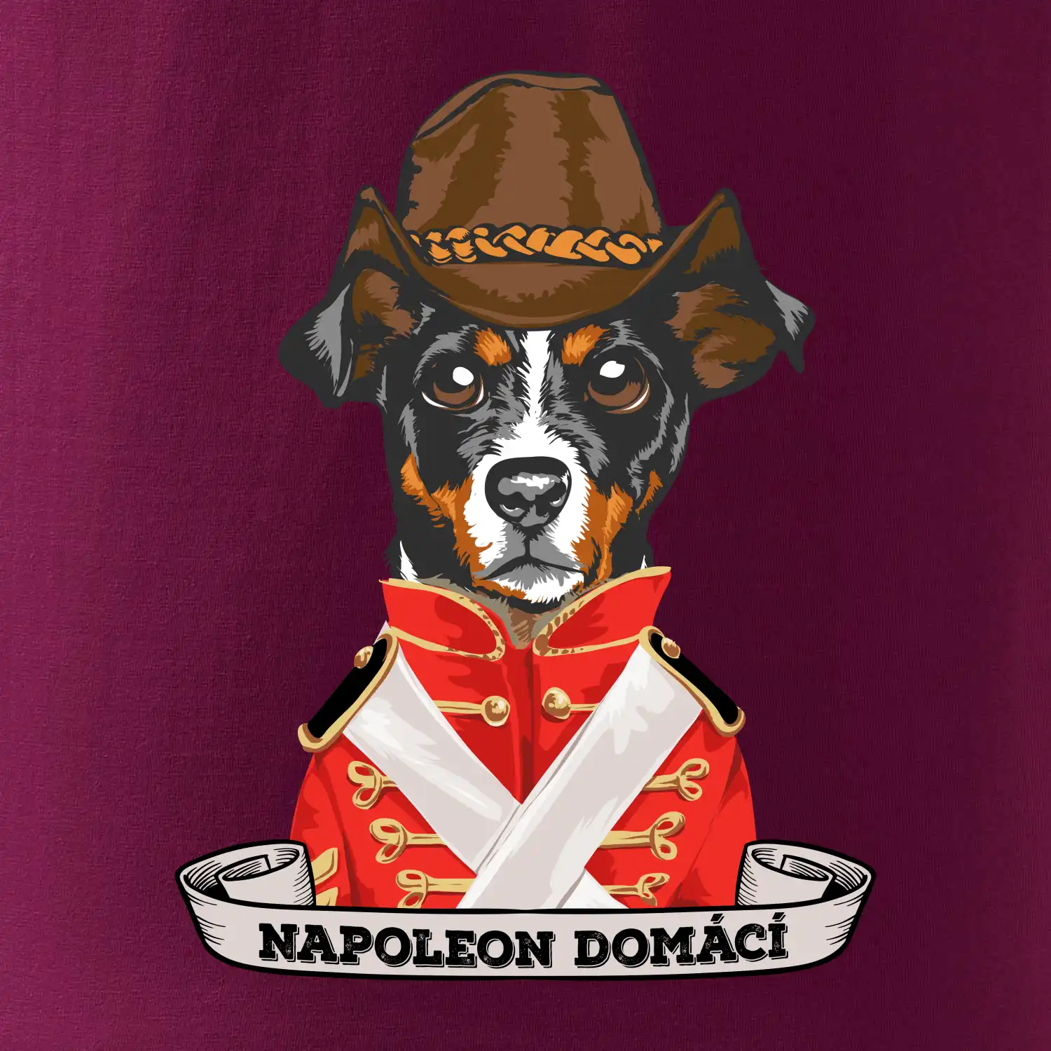 Napoleon domácí pes kříženec