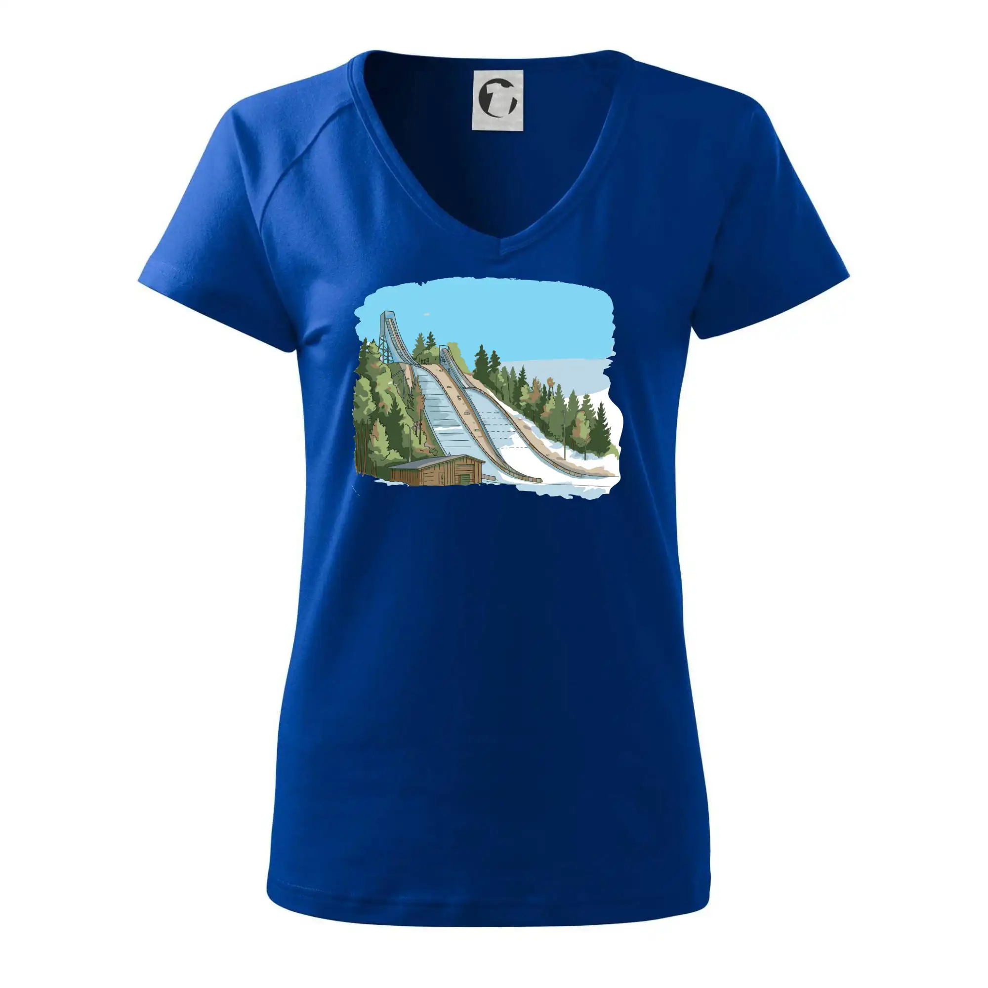 Obrázek skokanských můstků