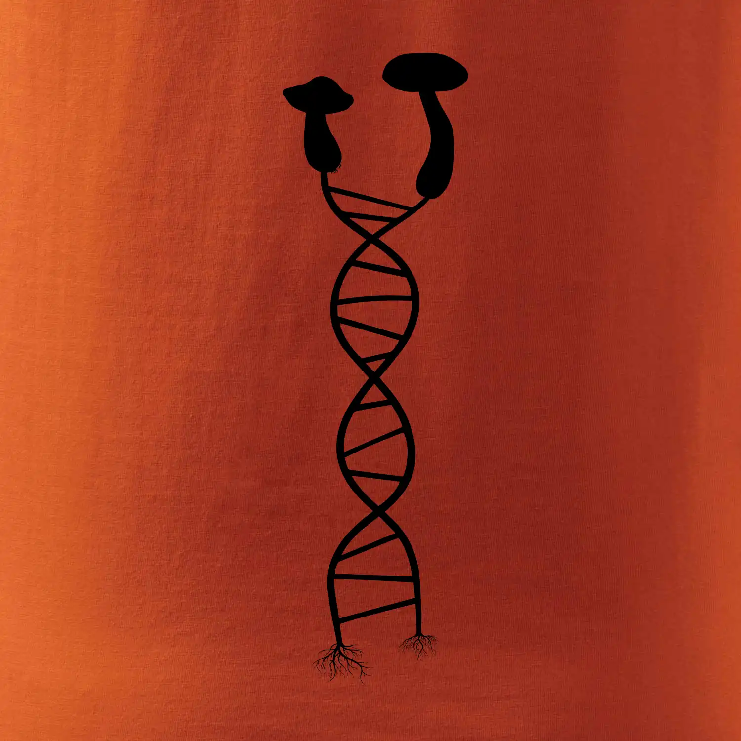 DNA houby