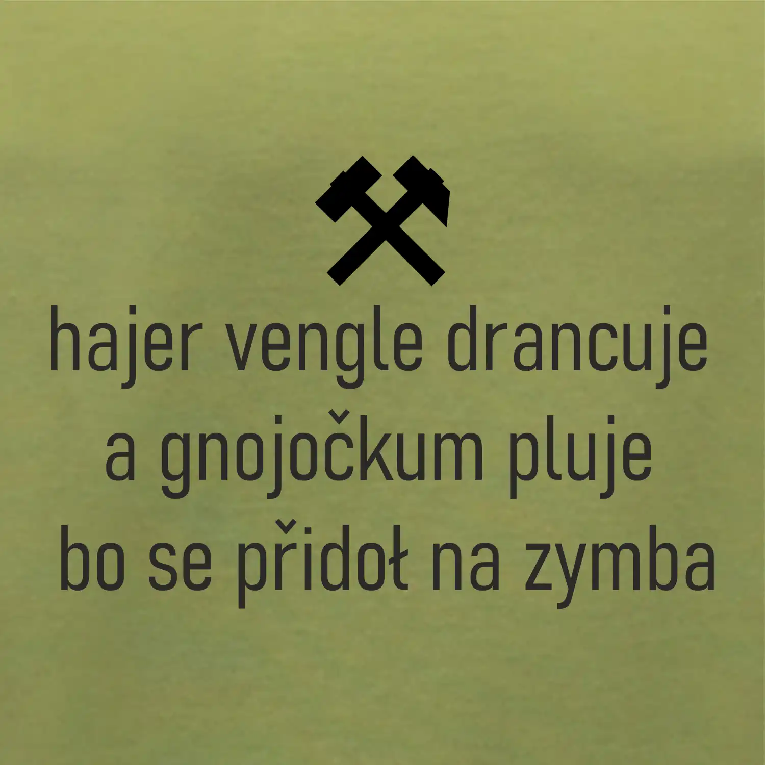 Hajer vengle drancuje a gnojočkum pluje bo se přidoł na zymba