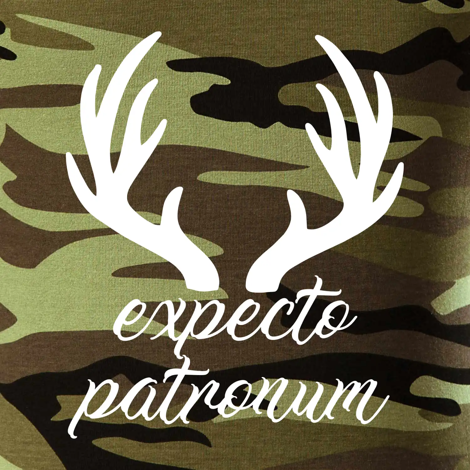 Harry - Expecto patronum