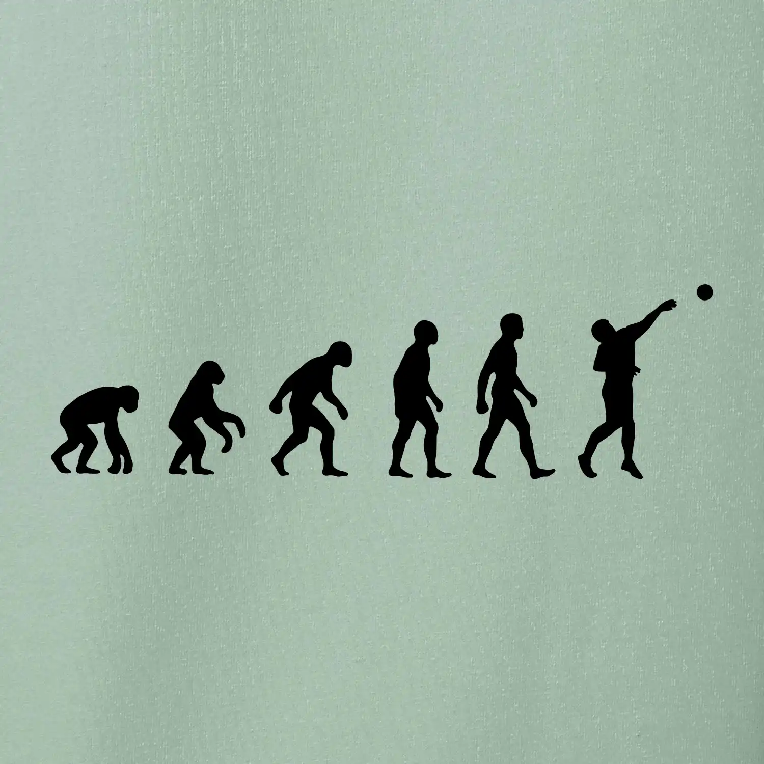 Evoluce vrh koulí