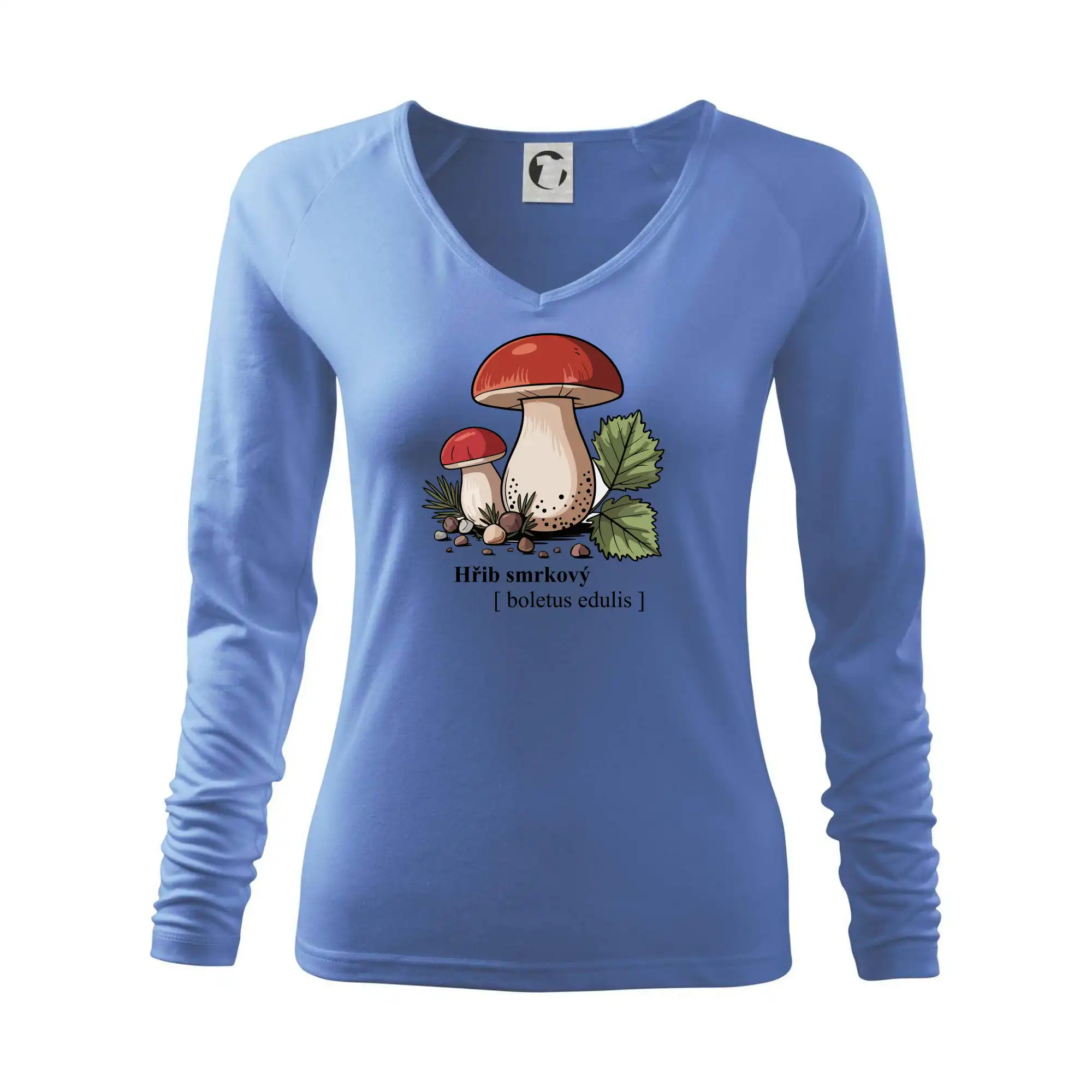 Hřib smrkový - Boletus edulis kreslený