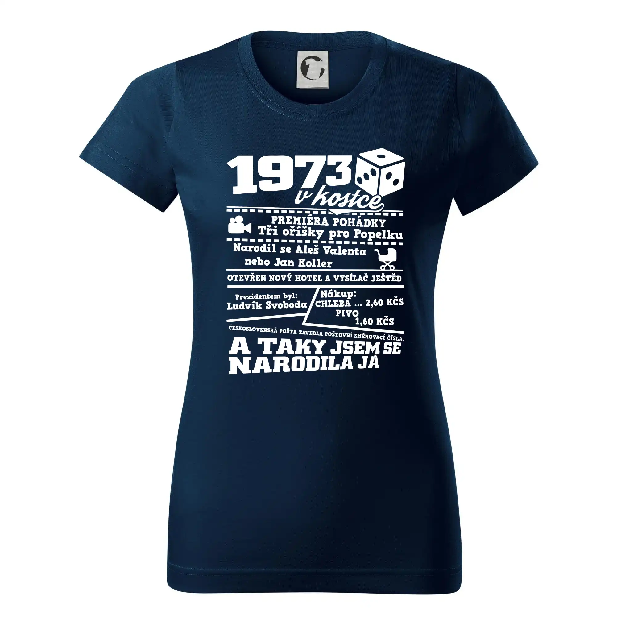 1973 v kostce