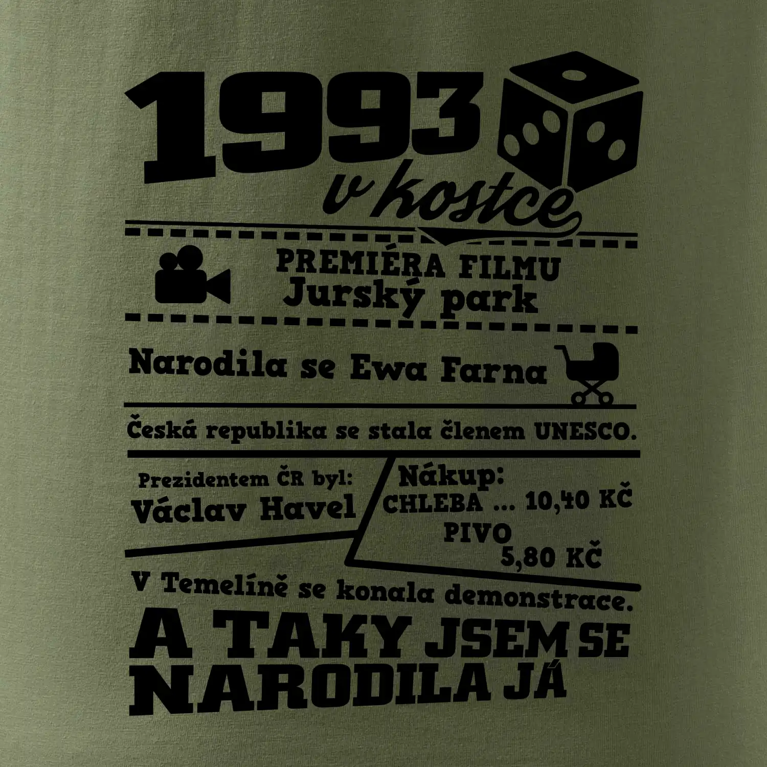 1993 v kostce