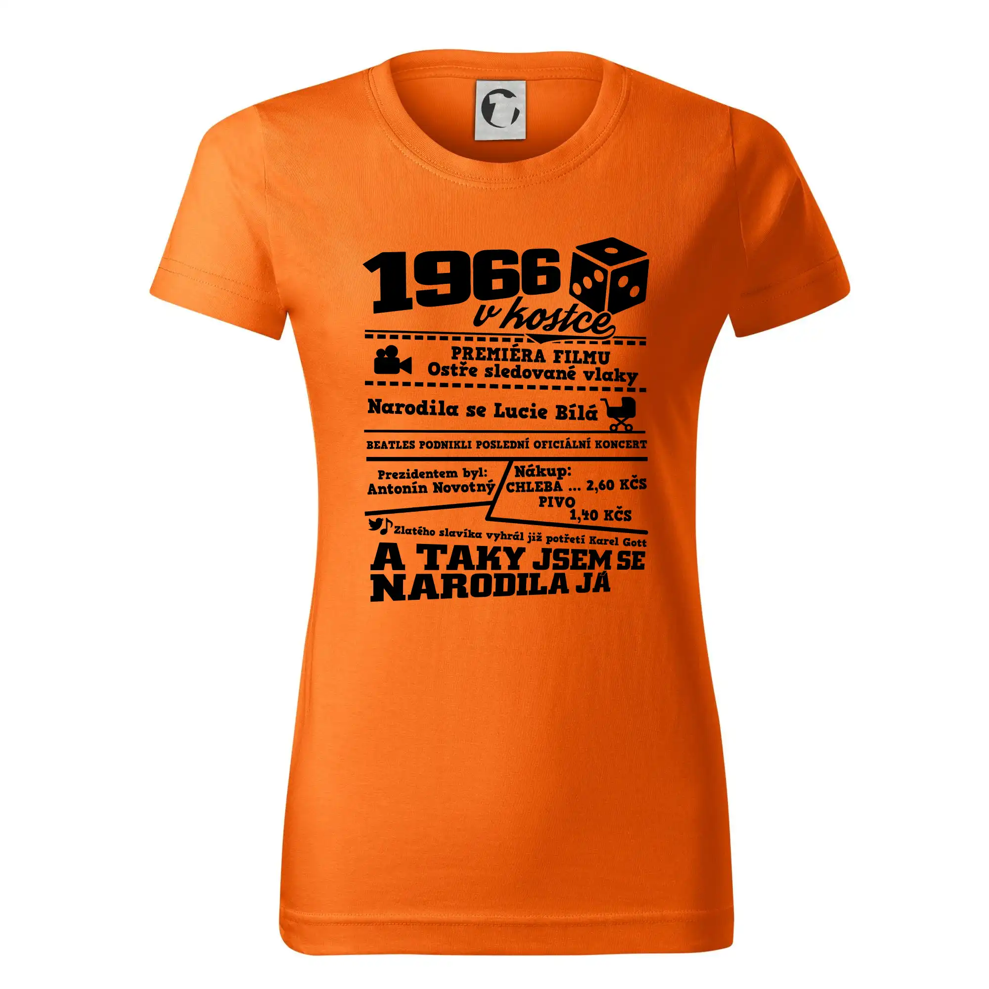 1966 v kostce