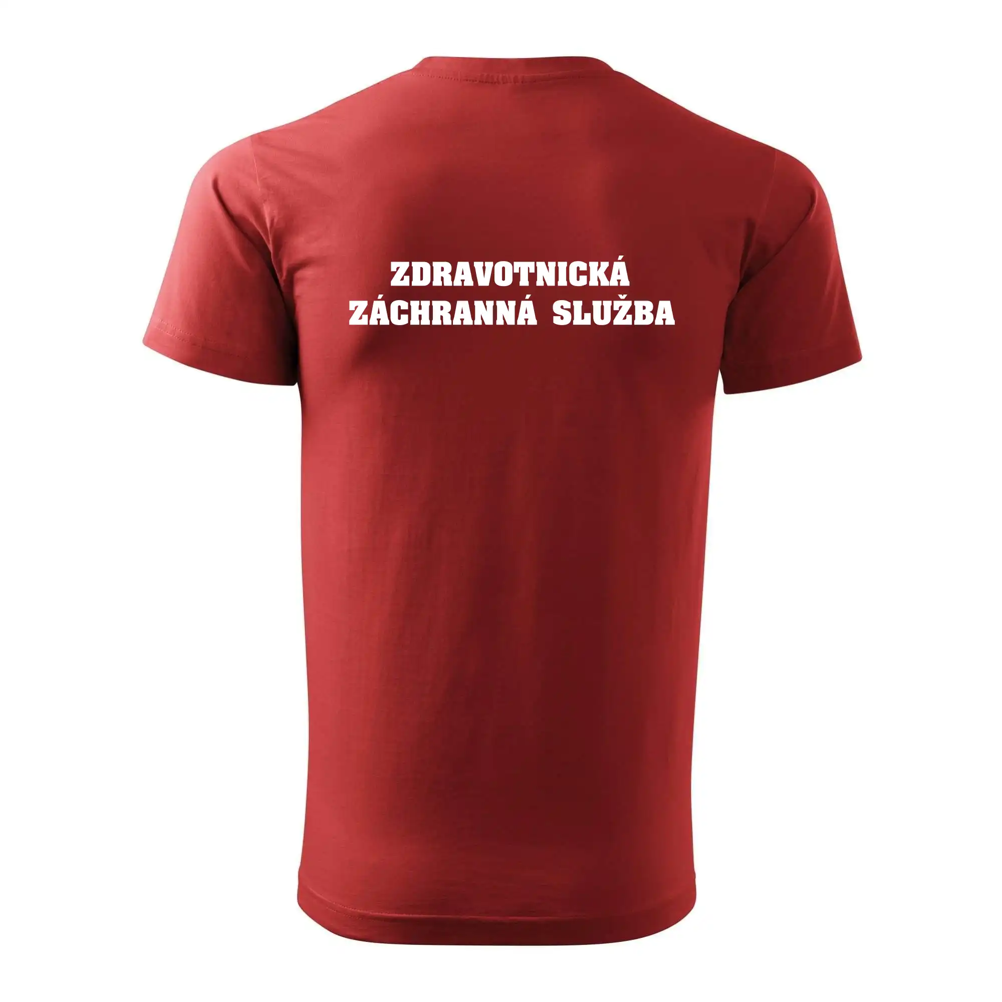 Hvězda života - zdravotnická záchranná služba