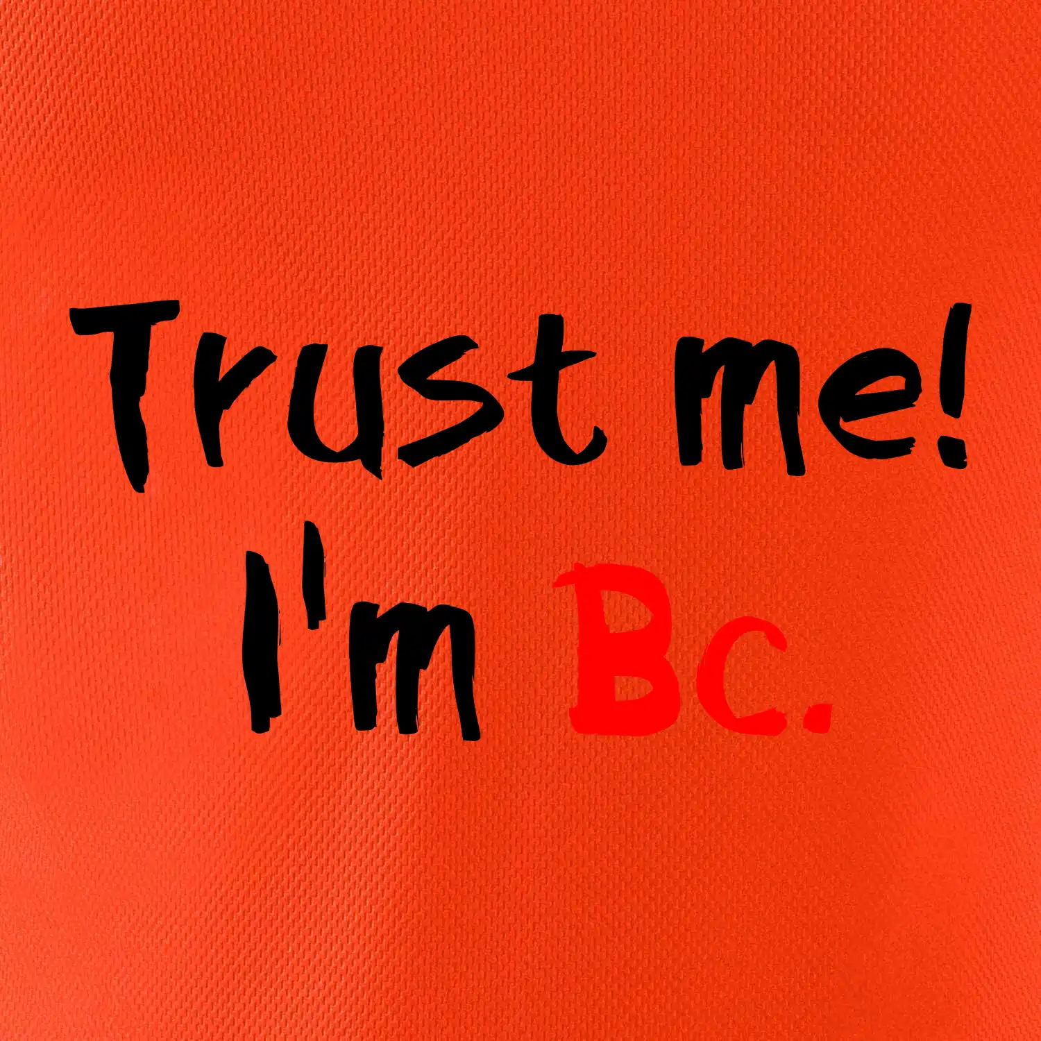 Trust me I´m  Bc. / Věř mi jsem Bc.