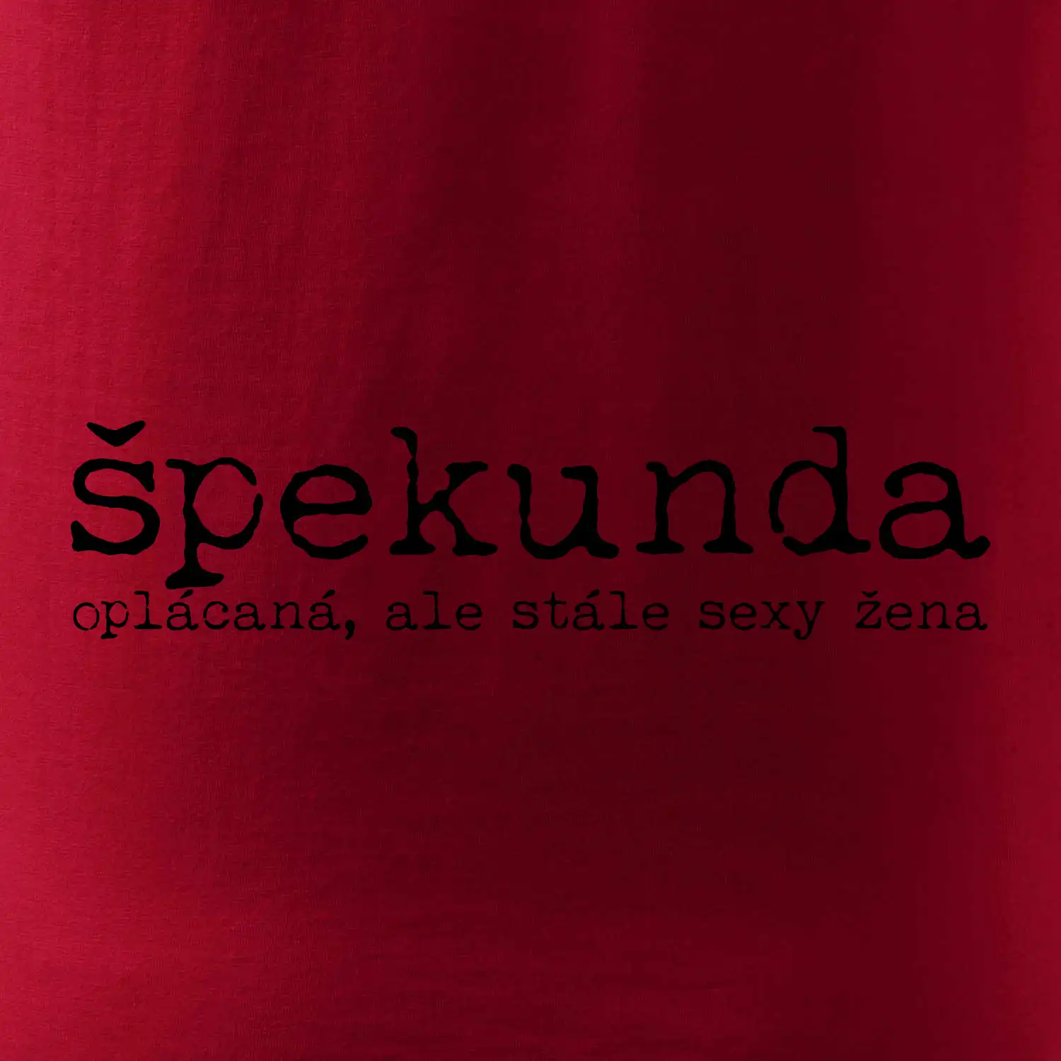 Čeština 2.0 - spalouch